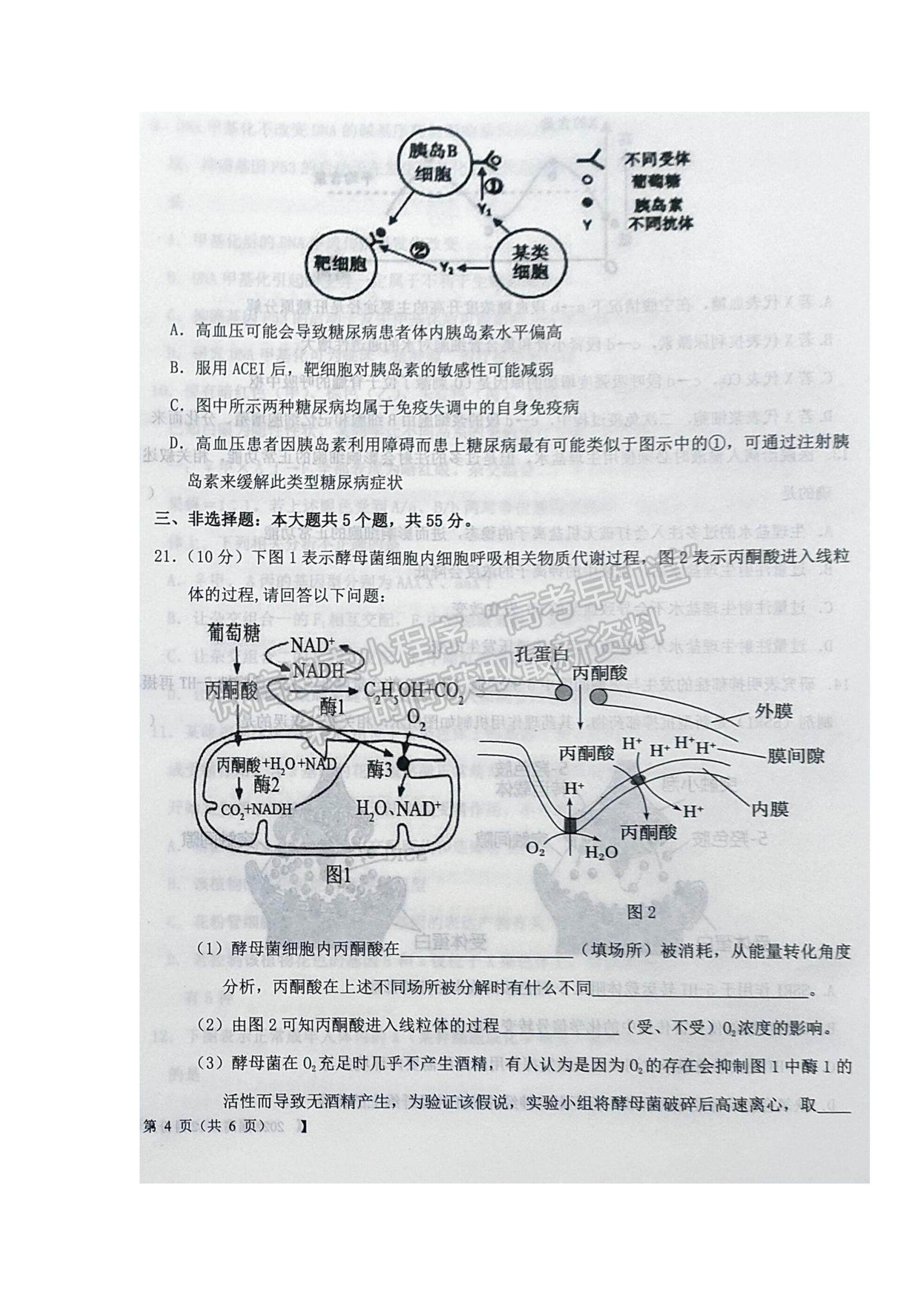 2022 遼寧鐵嶺六校高三12月月考生物試題及參考答案