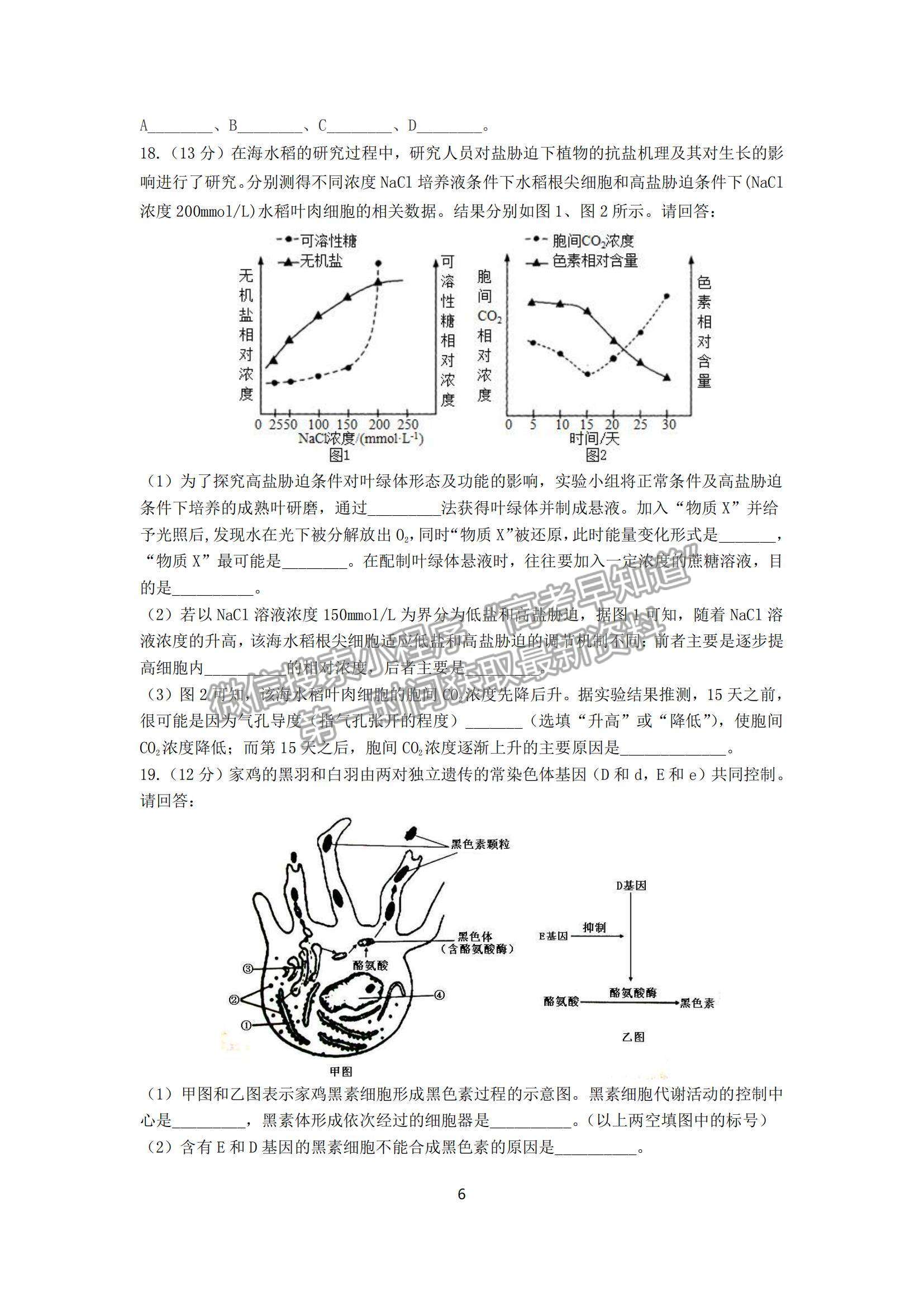 2022廣東華南師大附中高三月考（三）生物試題及參考答案