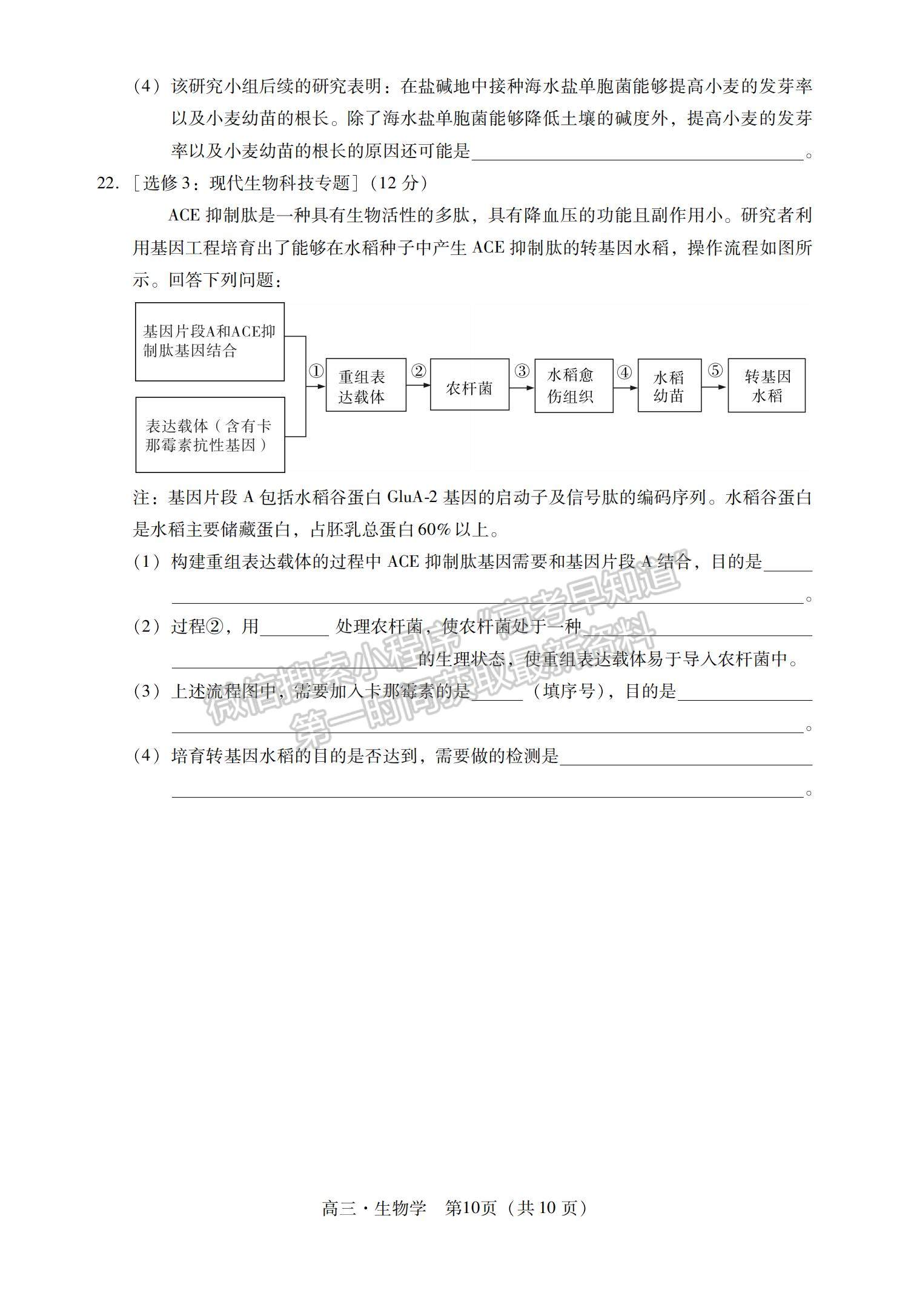 2022廣東茂名化州高三11月調(diào)研考生物試題及參考答案