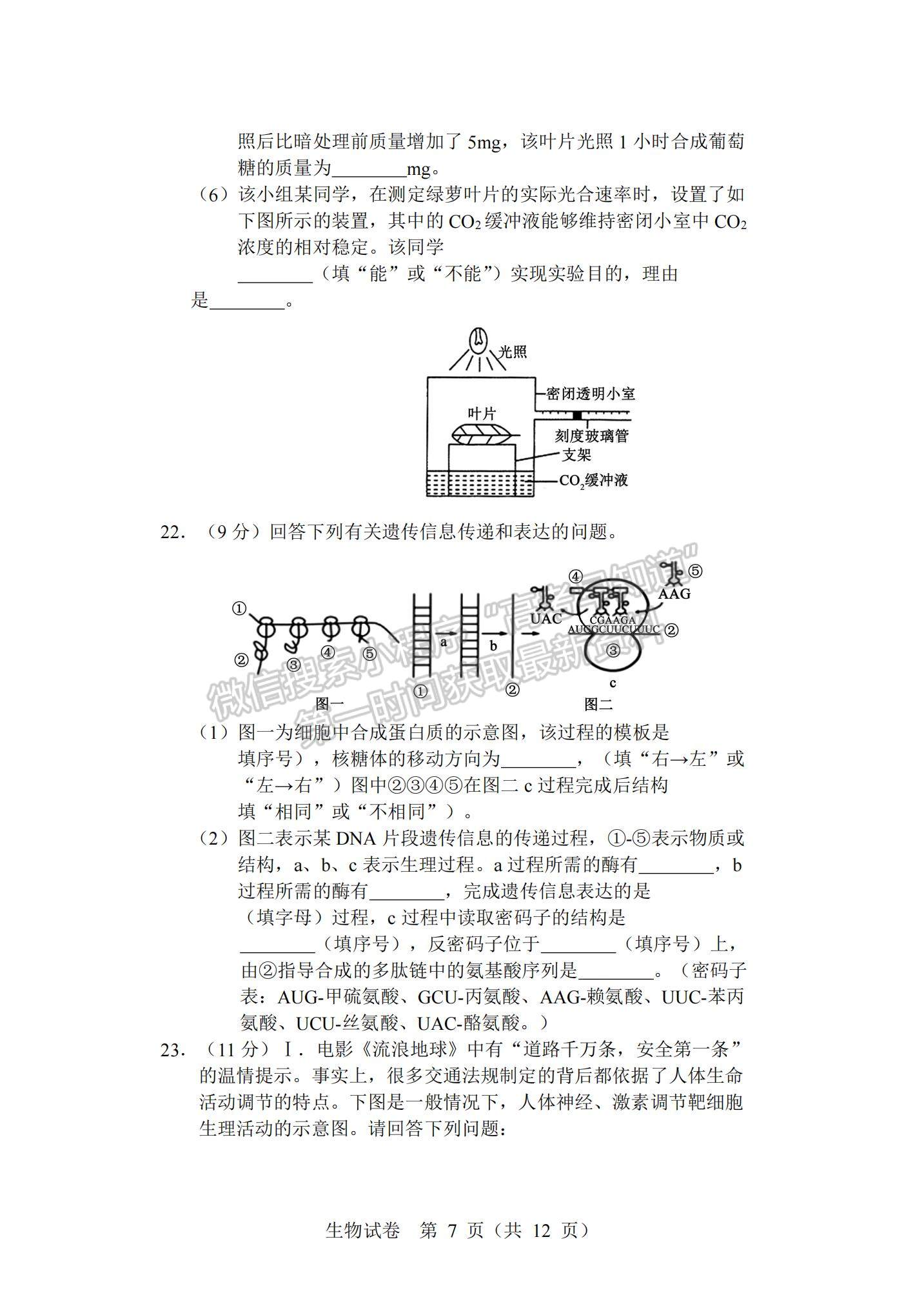 2022遼寧沈陽(yáng)重點(diǎn)高中聯(lián)合體高三12月考試生物試題及參考答案