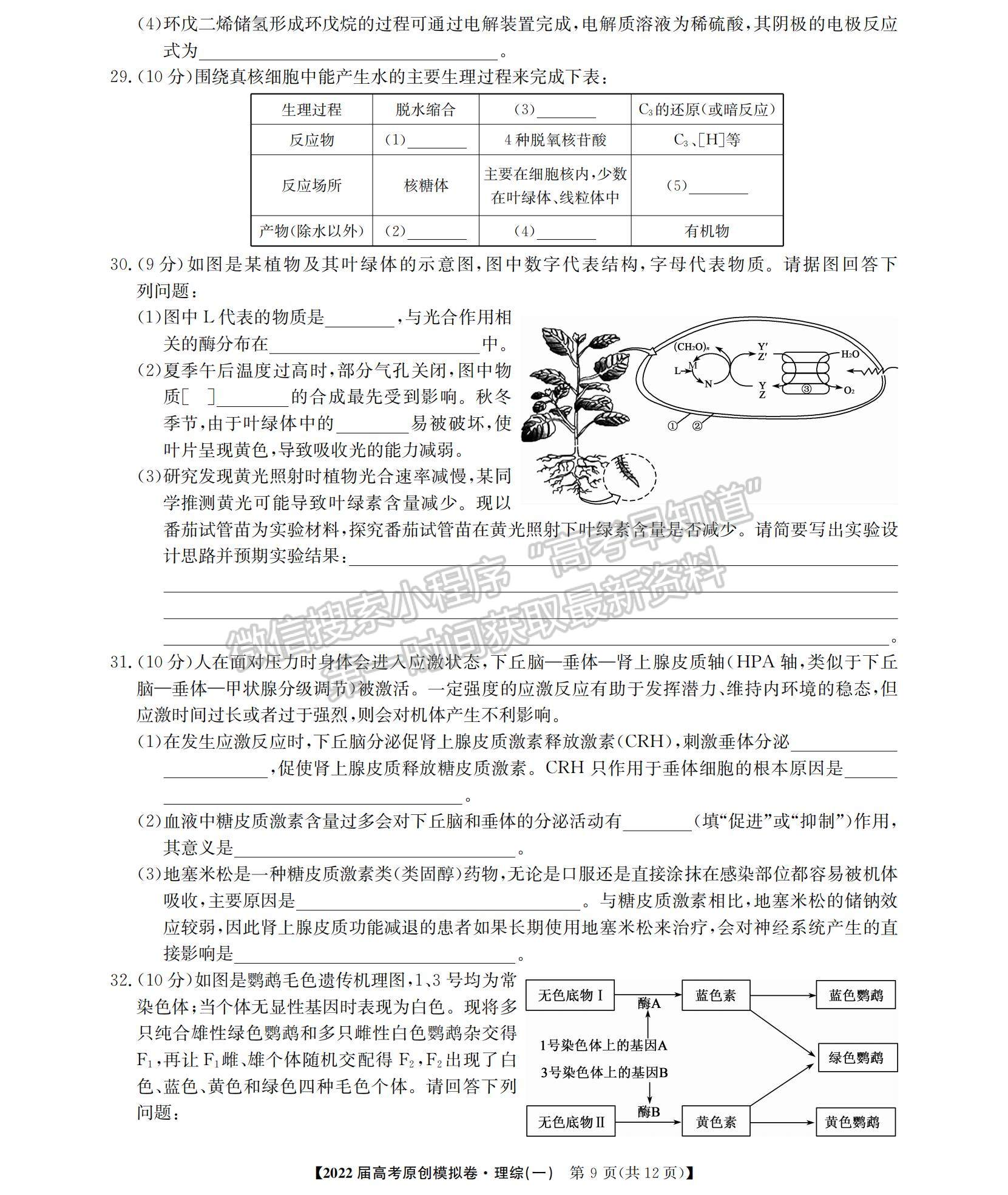 2022廣西高三12月聯(lián)考理綜試題及參考答案