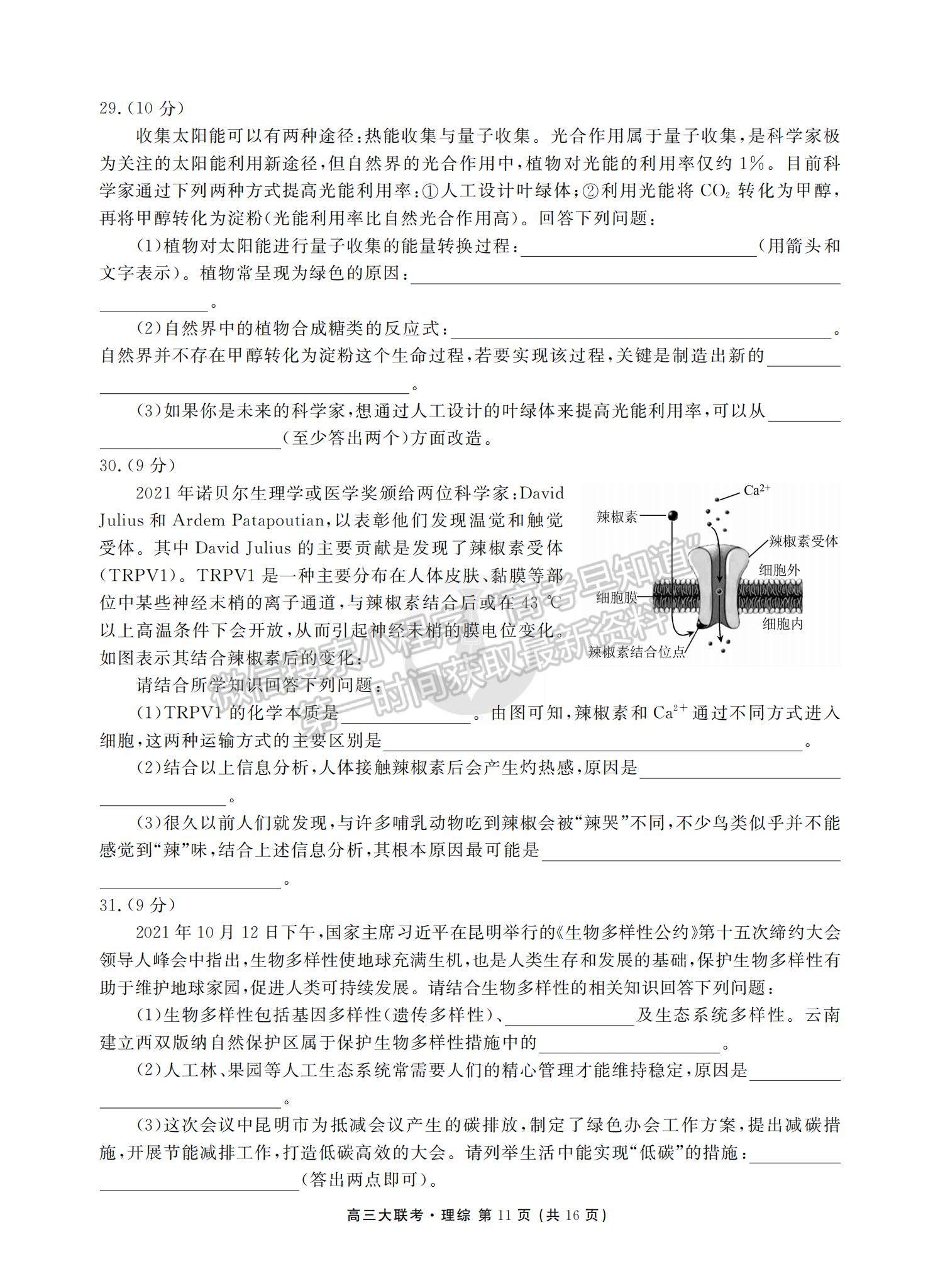 2022衡水金卷全國高三期末預熱聯(lián)考理綜試題及參考答案