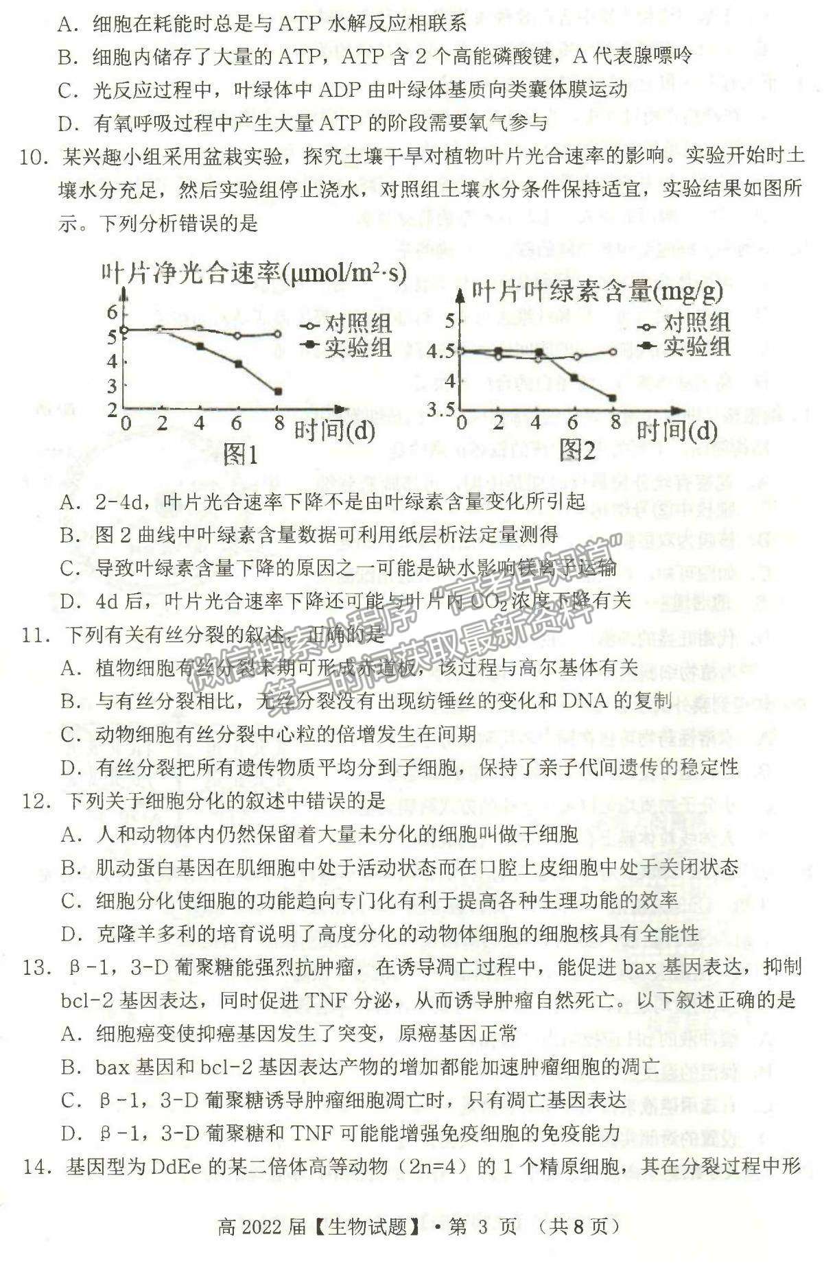 2022重慶名校聯(lián)盟高三第一次聯(lián)合考試生物試題及參考答案