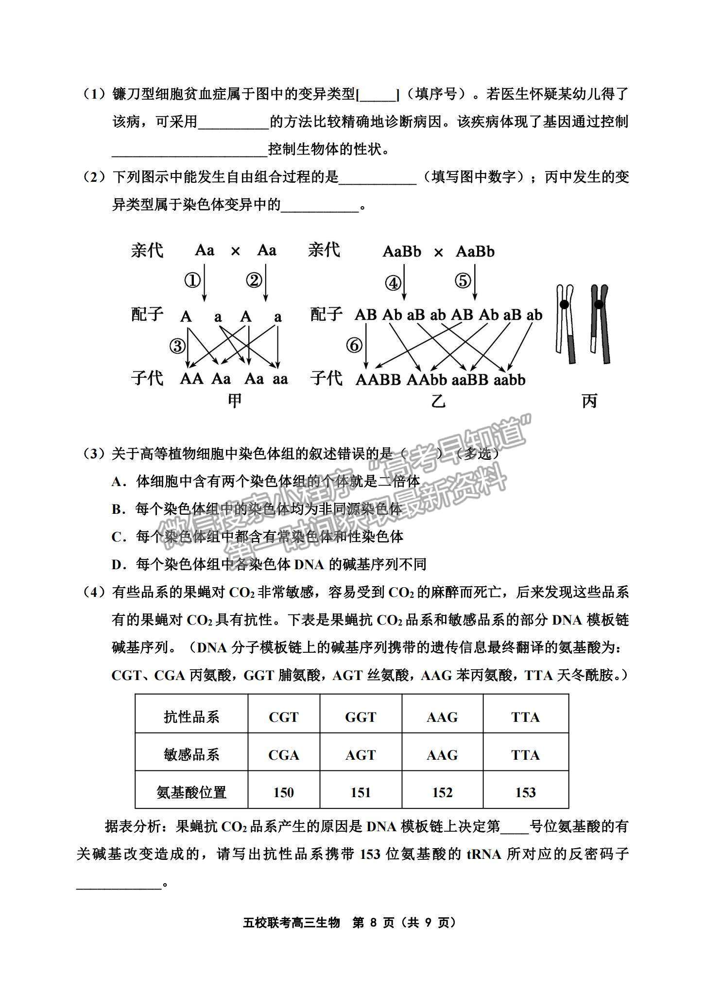 2022天津五校聯(lián)考高三上學(xué)期期中考試生物試題及參考答案