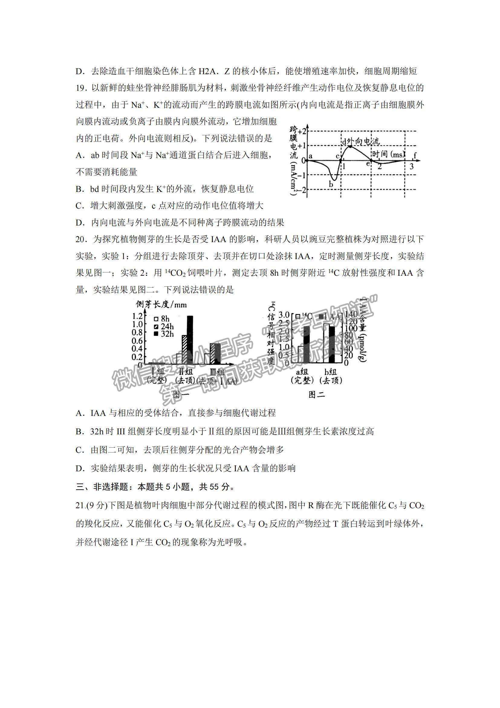 2022山東濰坊高三學(xué)科核心素養(yǎng)測(cè)評(píng)生物試題及參考答案