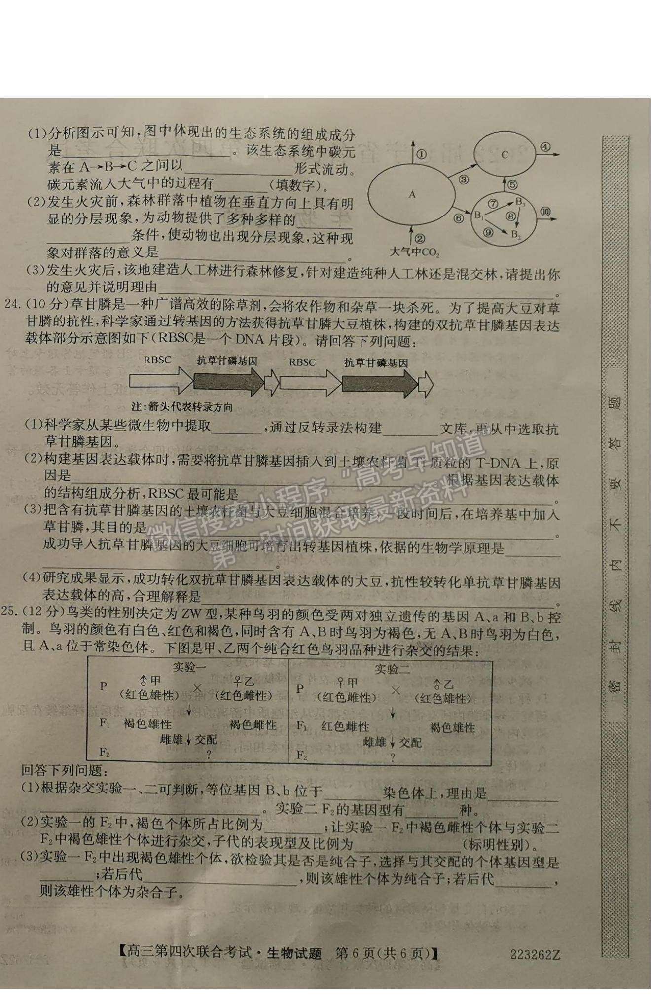 2022遼寧名校高三第四次聯(lián)合考試生物試題及參考答案