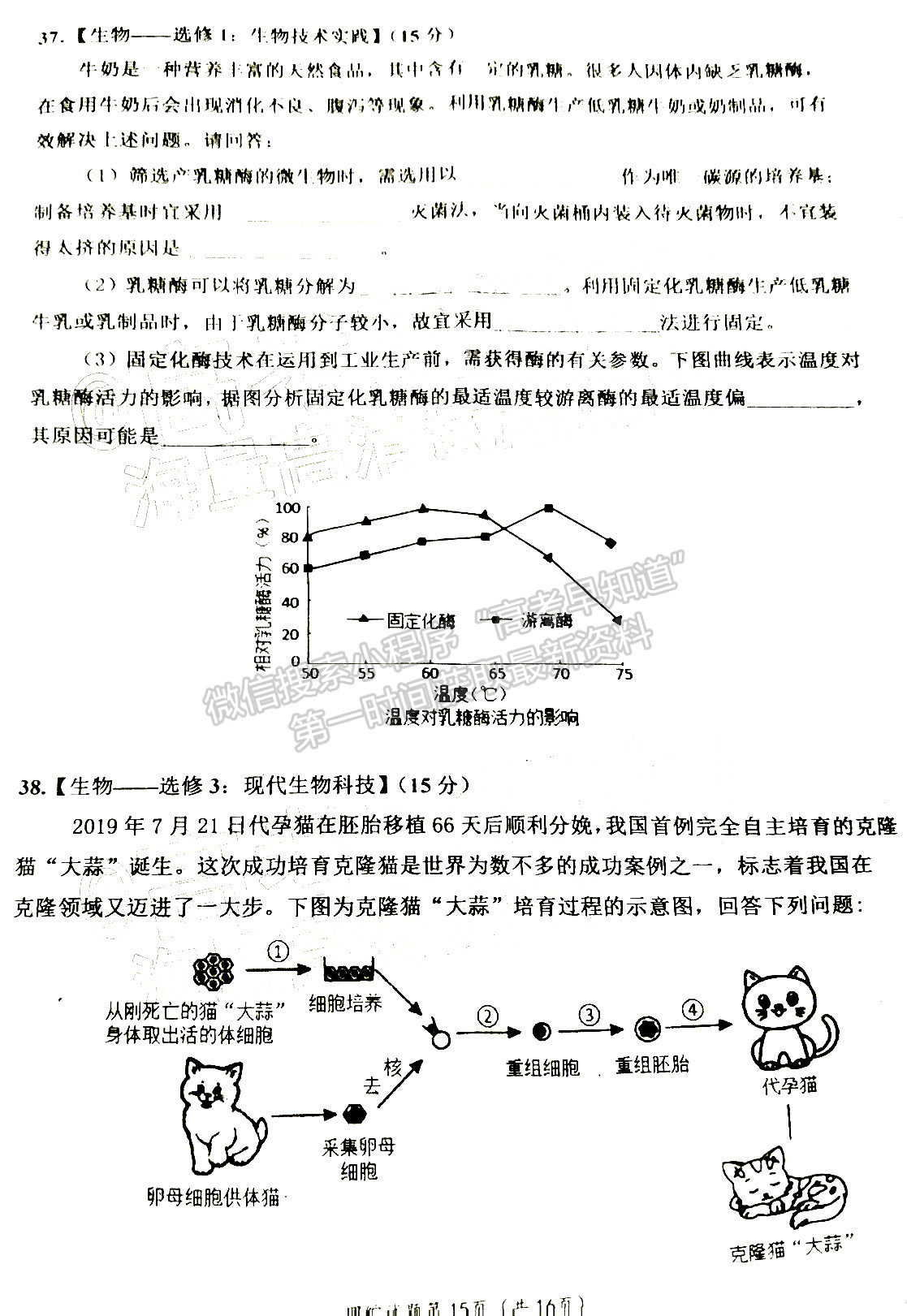 2022四川省自貢市普高2022屆第一次診斷性考試?yán)砜凭C合試題及答案