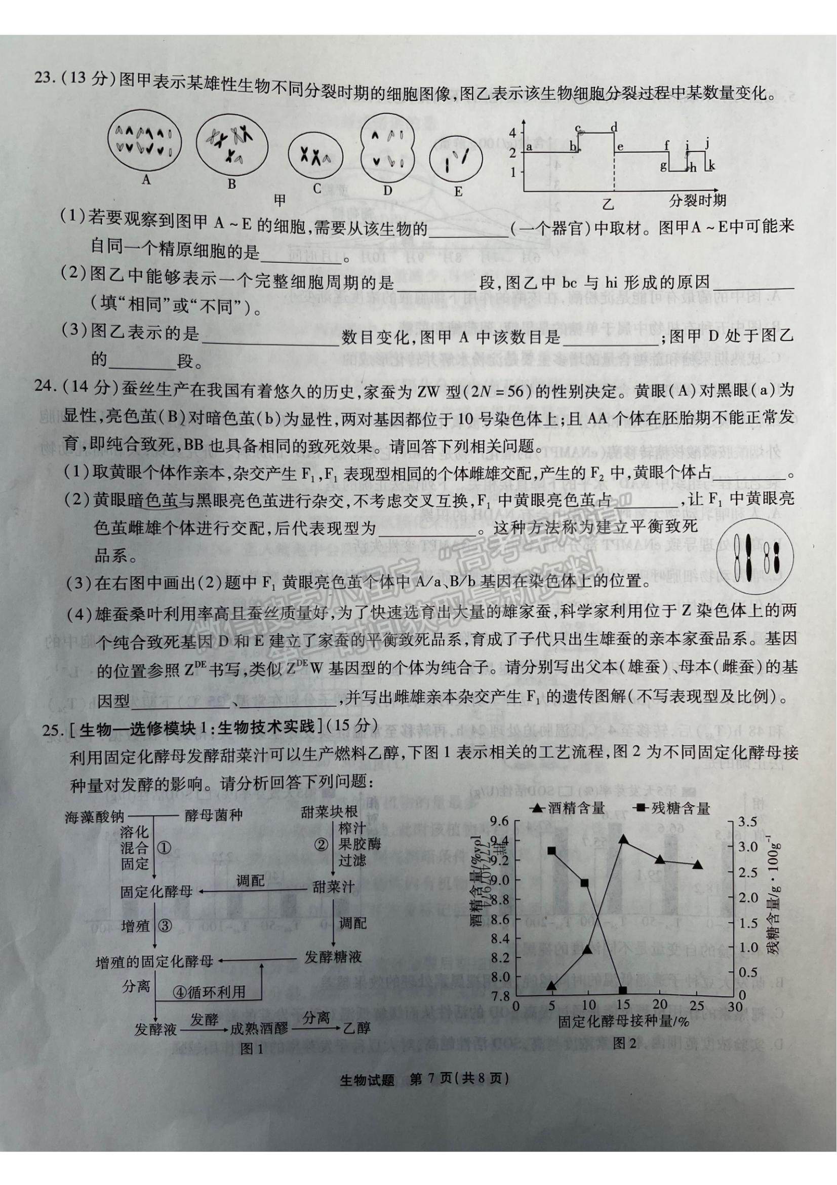 2022重慶高三第三次質量檢測生物試題及參考答案