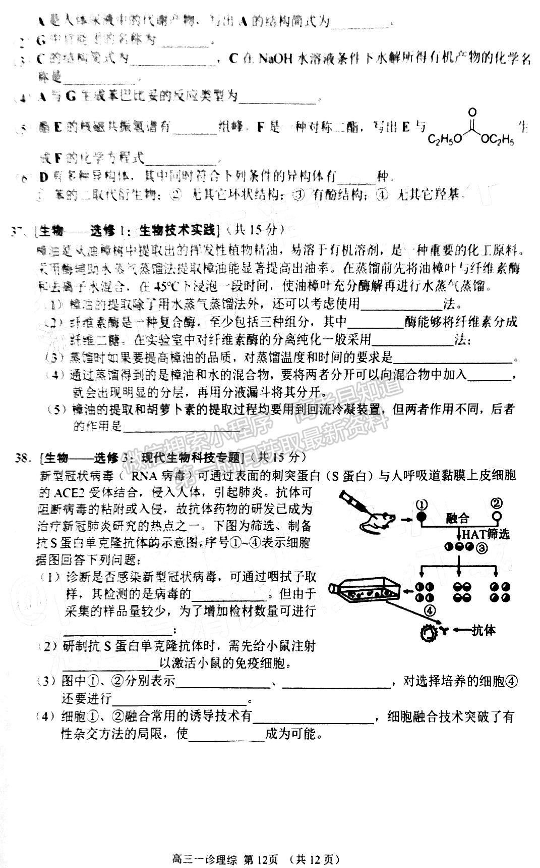 2022四川省南充市高2022屆高考適應(yīng)性考試（一診）理科綜合試題及答案