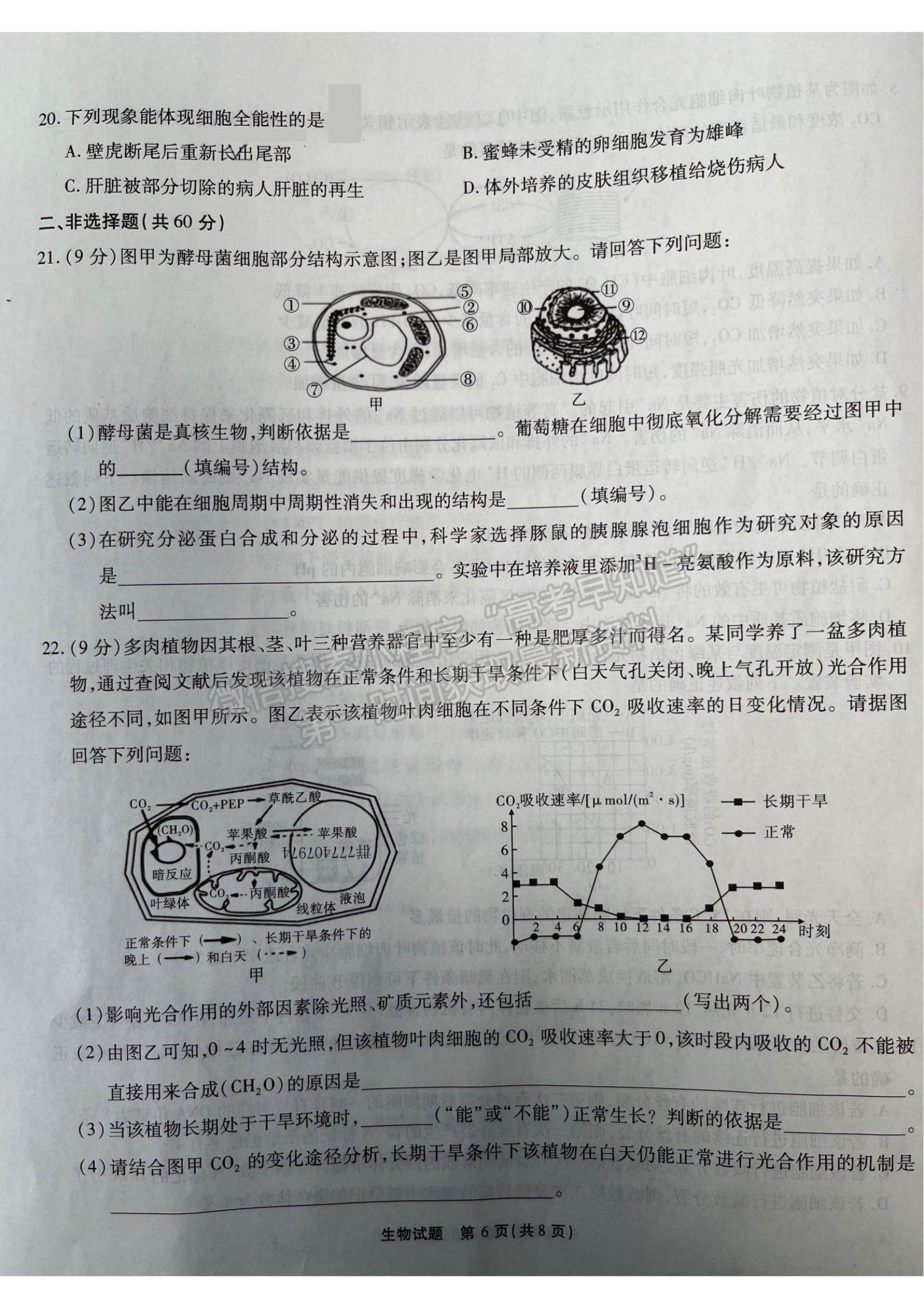 2022重慶高三第三次質量檢測生物試題及參考答案