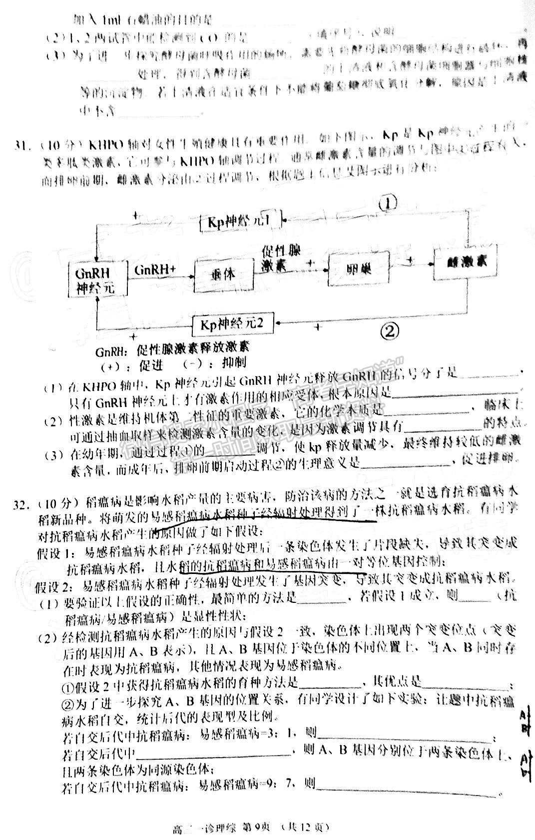 2022四川省南充市高2022屆高考適應(yīng)性考試（一診）理科綜合試題及答案