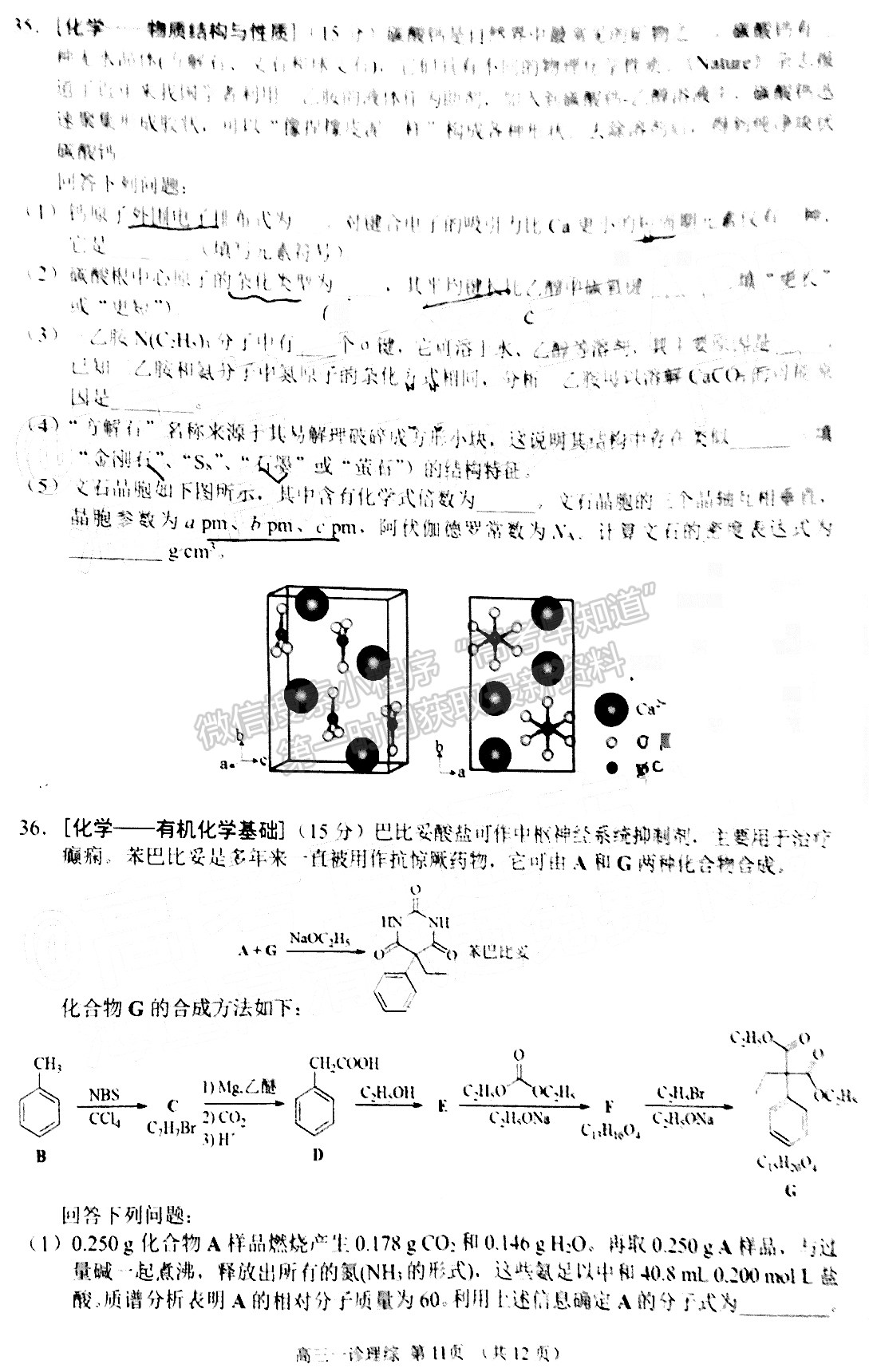 2022四川省南充市高2022屆高考適應(yīng)性考試（一診）理科綜合試題及答案