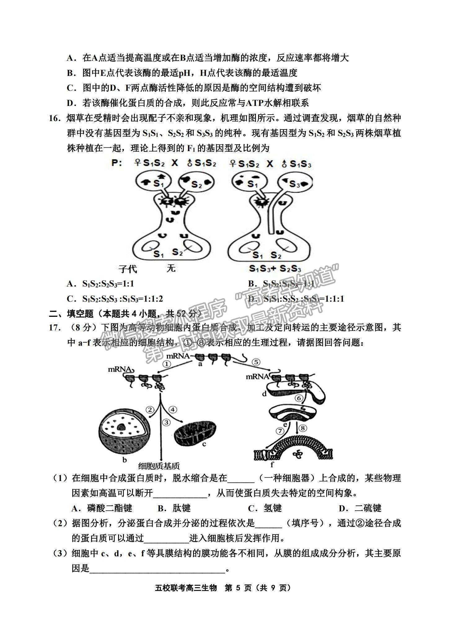 2022天津五校聯(lián)考高三上學(xué)期期中考試生物試題及參考答案