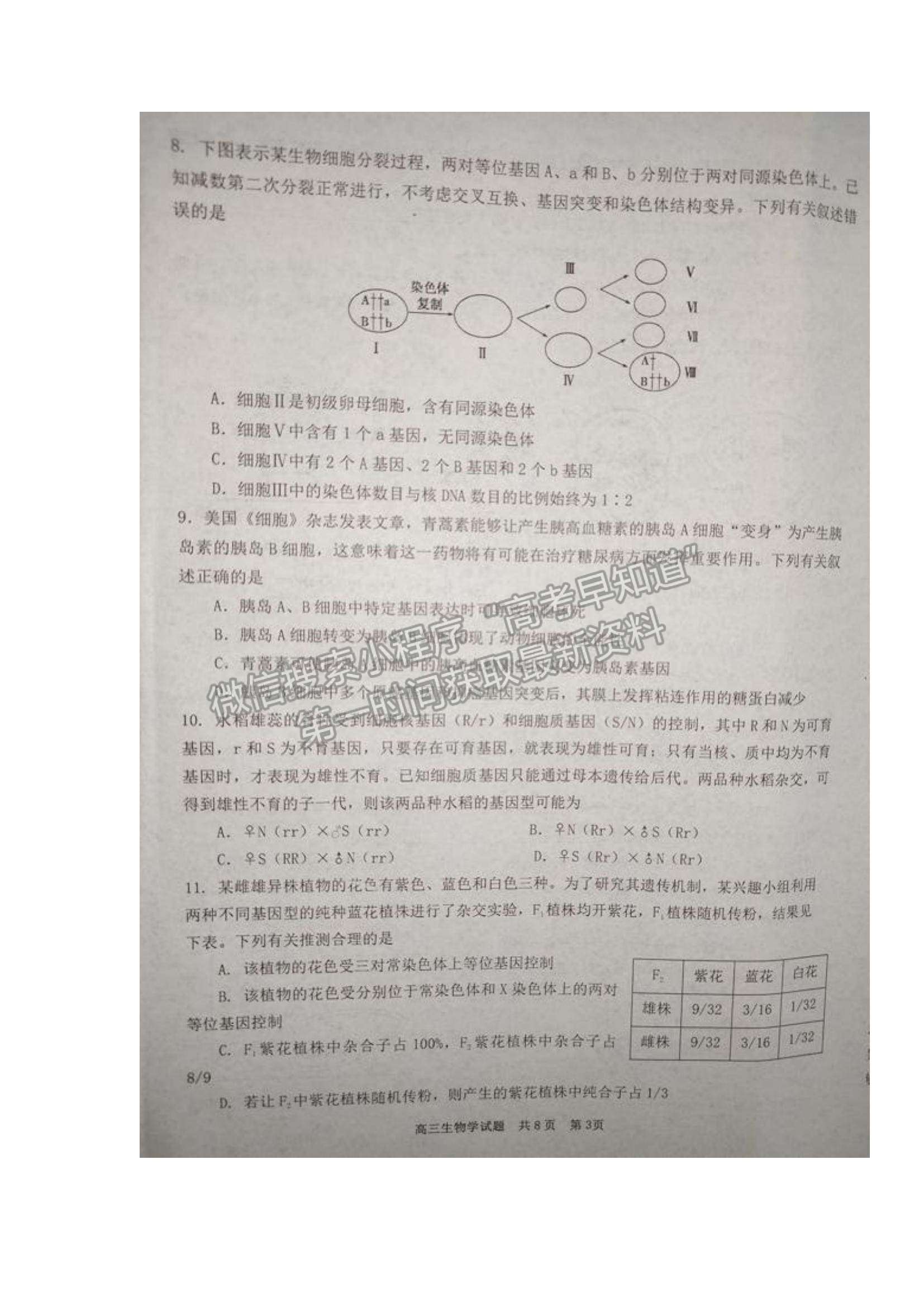 2022湖南天壹名校聯(lián)盟高三11月調(diào)研考試生物試題及參考答案