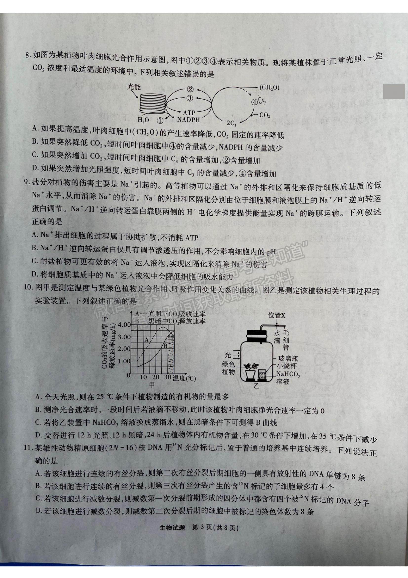 2022重慶高三第三次質(zhì)量檢測(cè)生物試題及參考答案