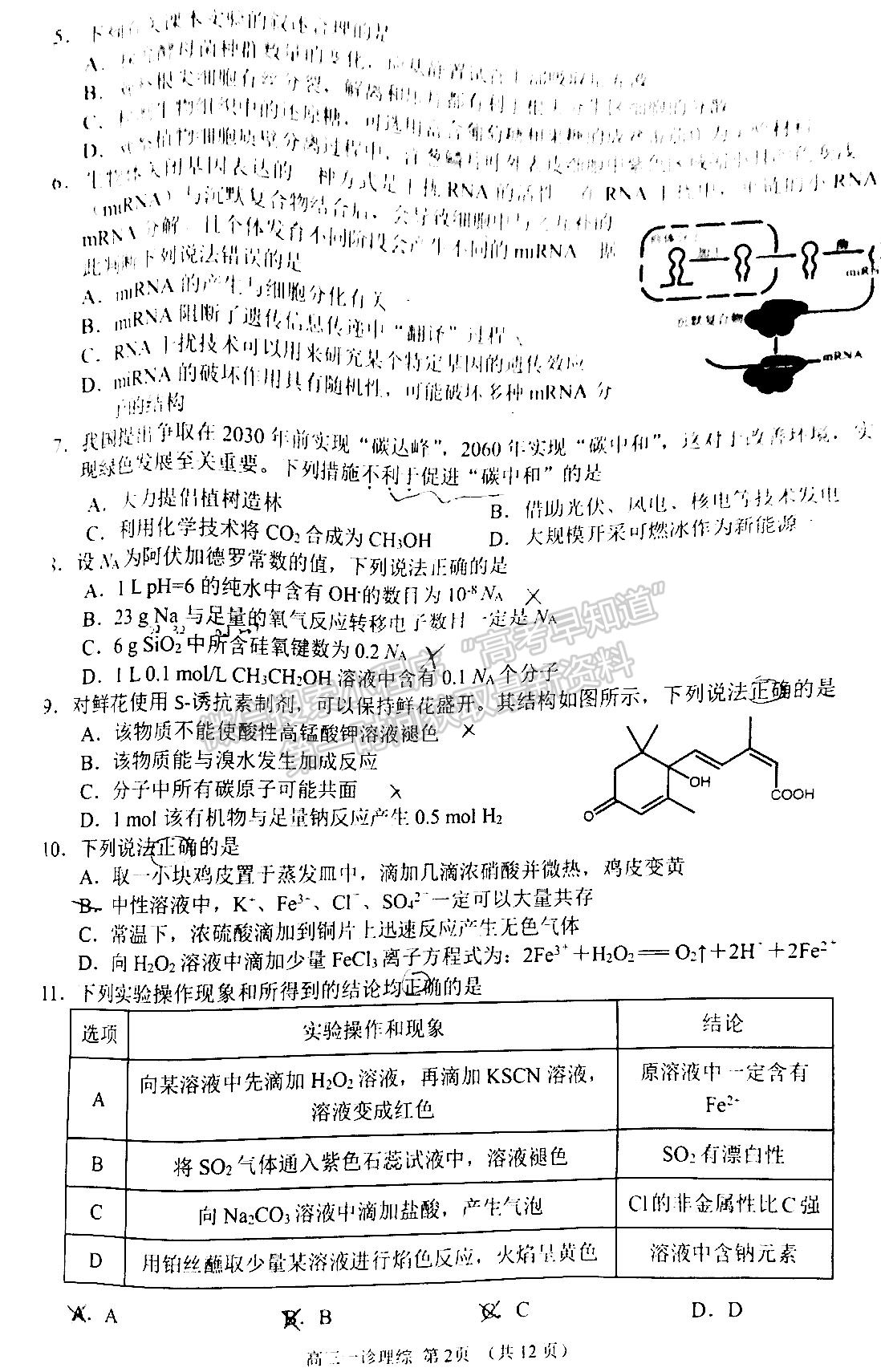 2022四川省南充市高2022届高考适应性考试（一诊）理科综合试题及答案