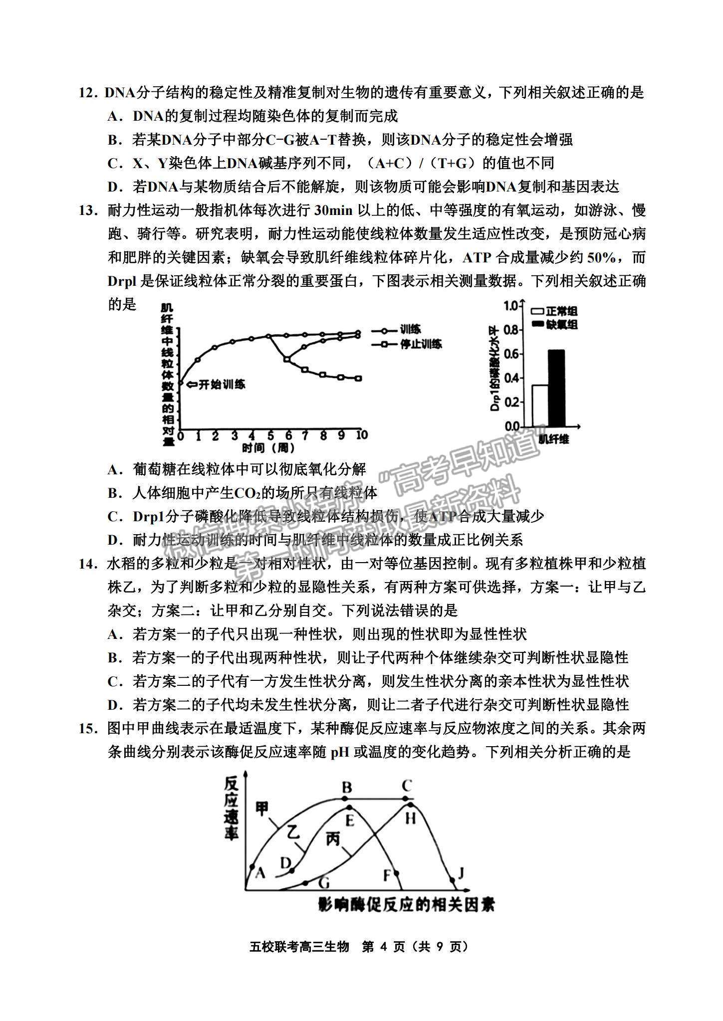 2022天津五校聯(lián)考高三上學(xué)期期中考試生物試題及參考答案