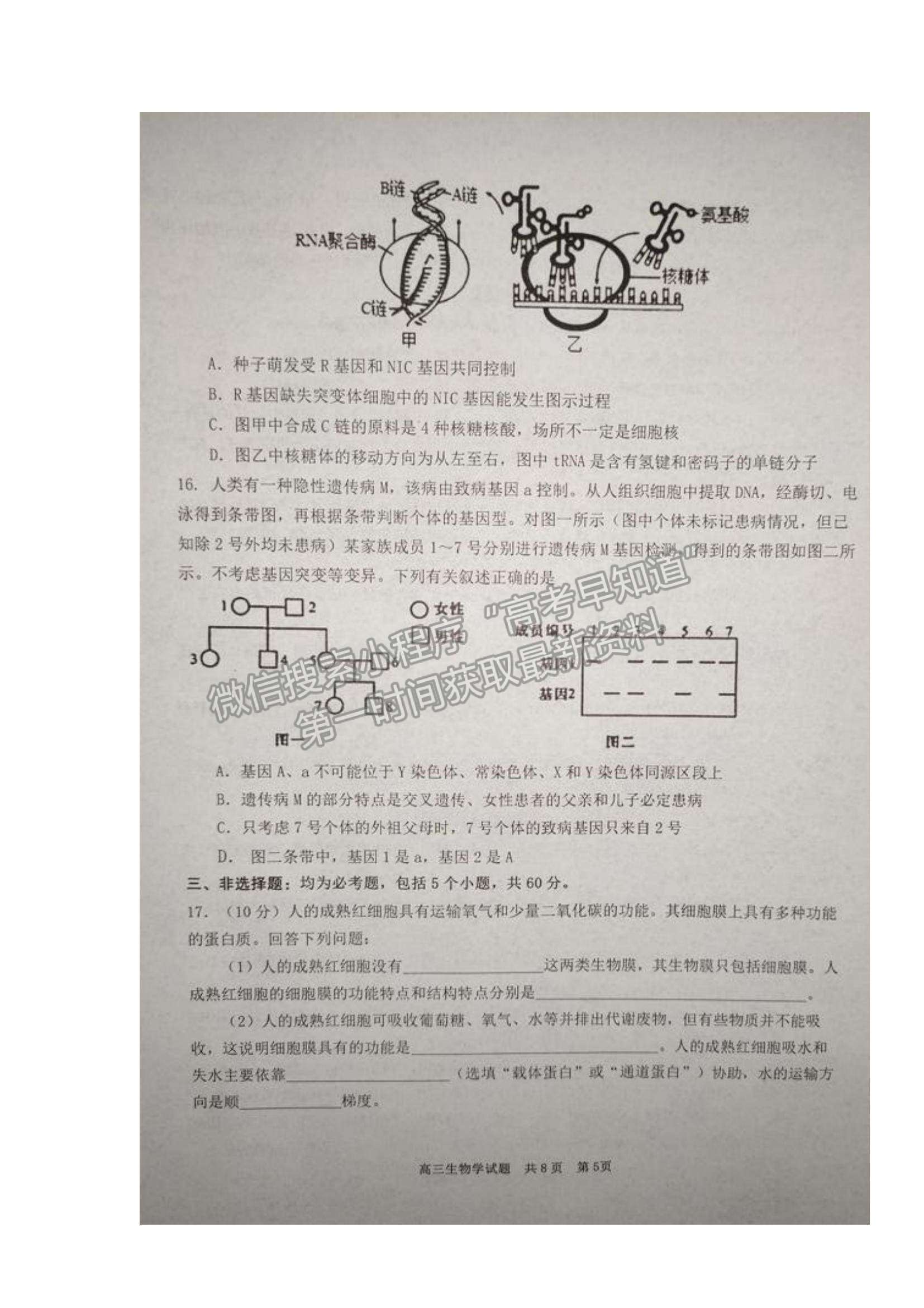 2022湖南天壹名校聯(lián)盟高三11月調研考試生物試題及參考答案