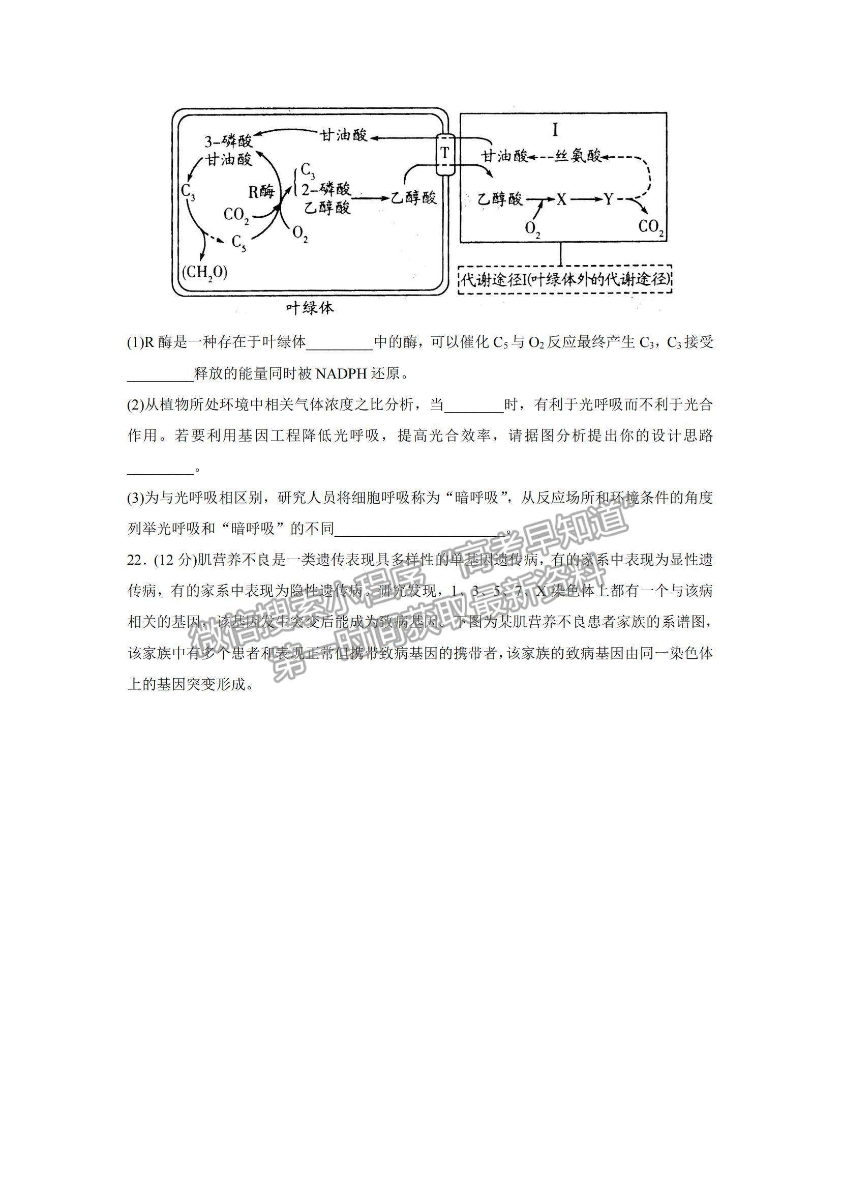 2022山東濰坊高三學(xué)科核心素養(yǎng)測(cè)評(píng)生物試題及參考答案