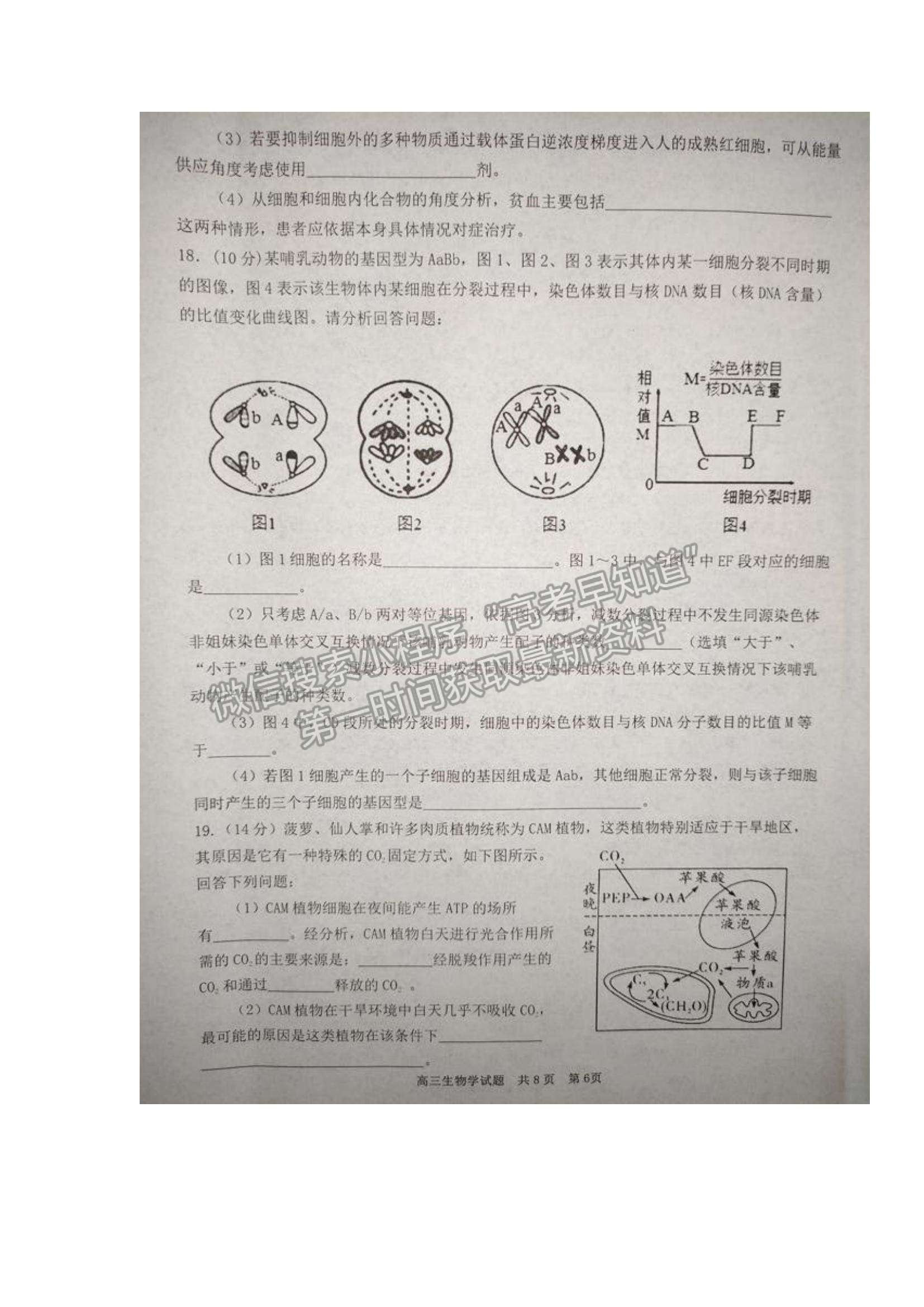 2022湖南天壹名校聯(lián)盟高三11月調(diào)研考試生物試題及參考答案