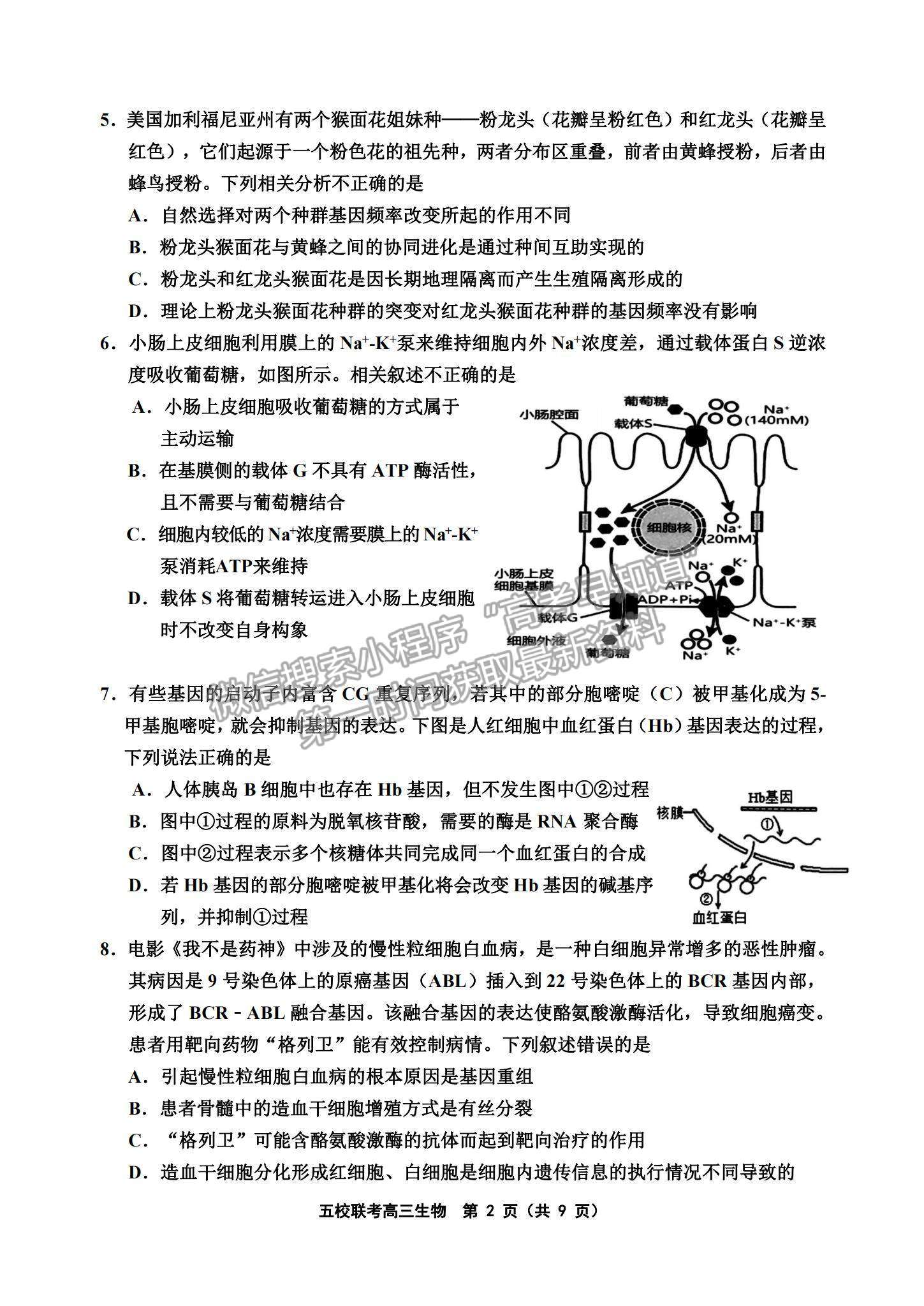 2022天津五校聯(lián)考高三上學(xué)期期中考試生物試題及參考答案