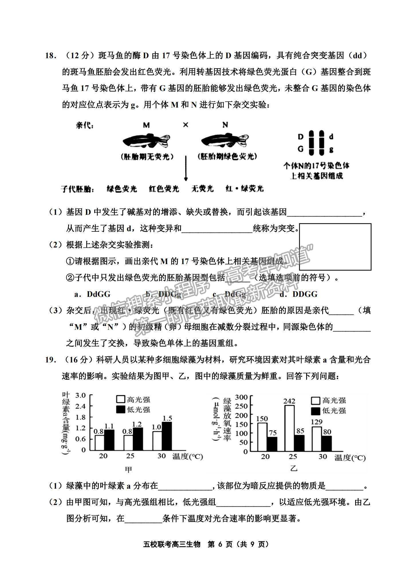 2022天津五校聯(lián)考高三上學(xué)期期中考試生物試題及參考答案