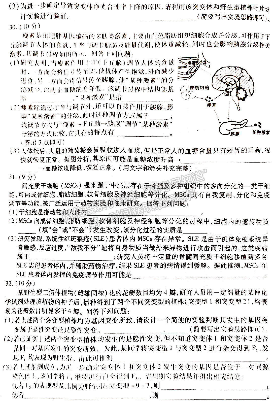 2022四川省內(nèi)江市高中2022屆第一次模擬考試?yán)砜凭C合試題及答案