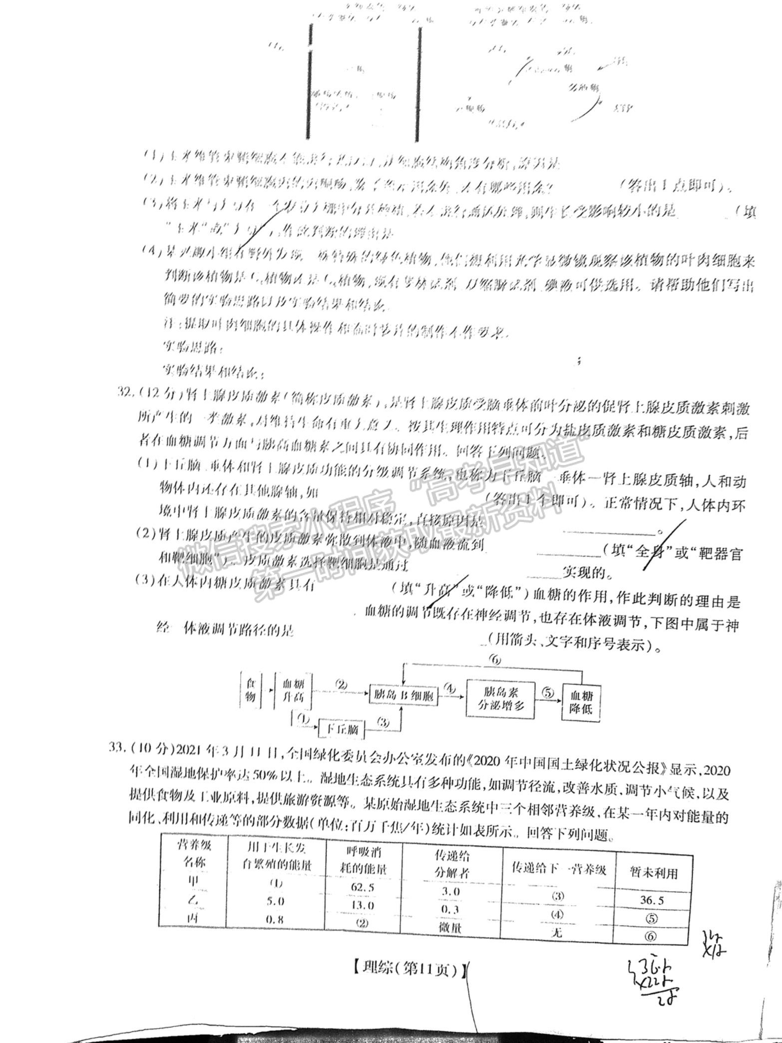 江西穩(wěn)派2022屆高三12月聯(lián)考理綜試題及參考答案 