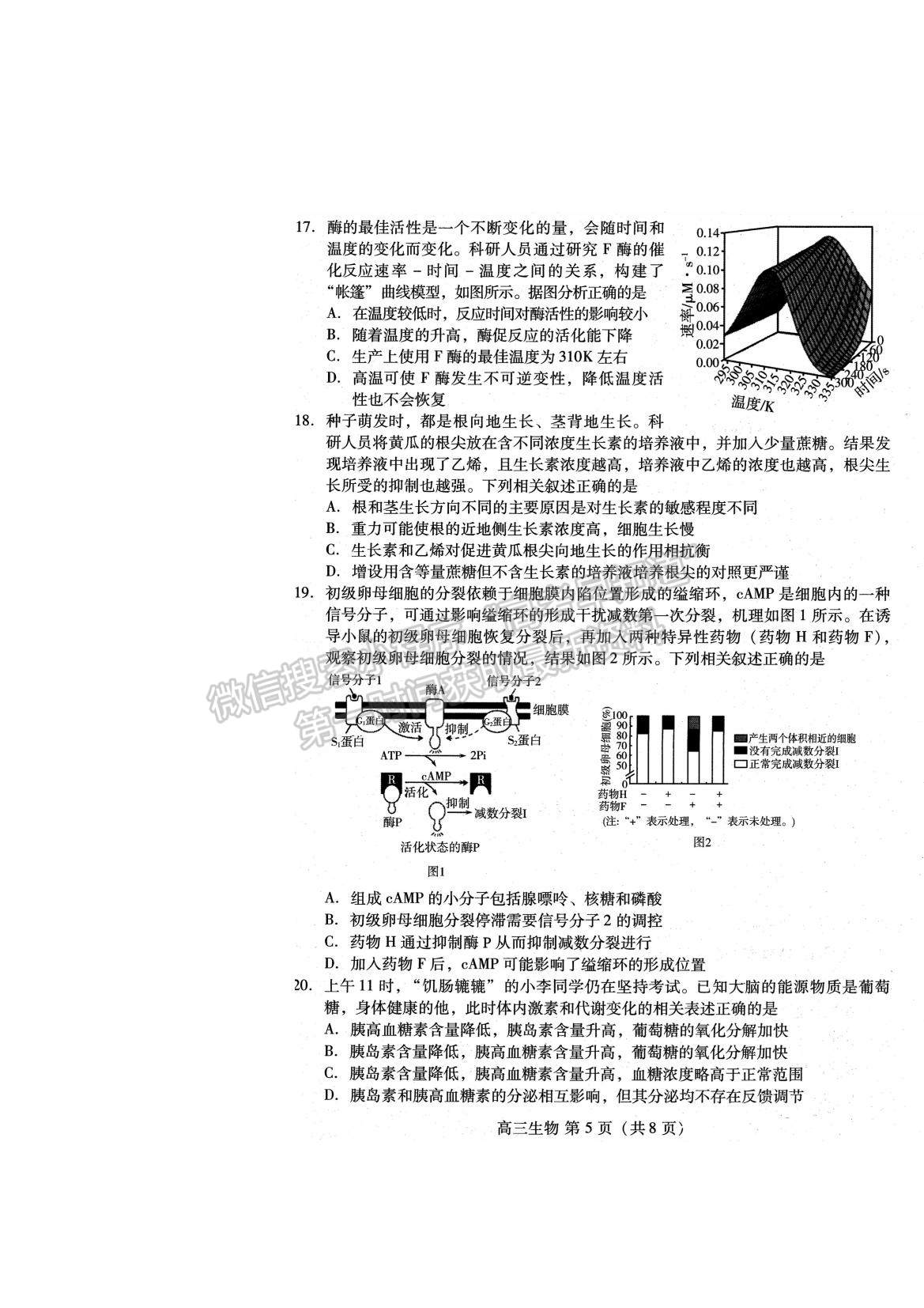 2022山東濰坊高三12月優(yōu)秀生抽測(cè)生物試題及參考答案