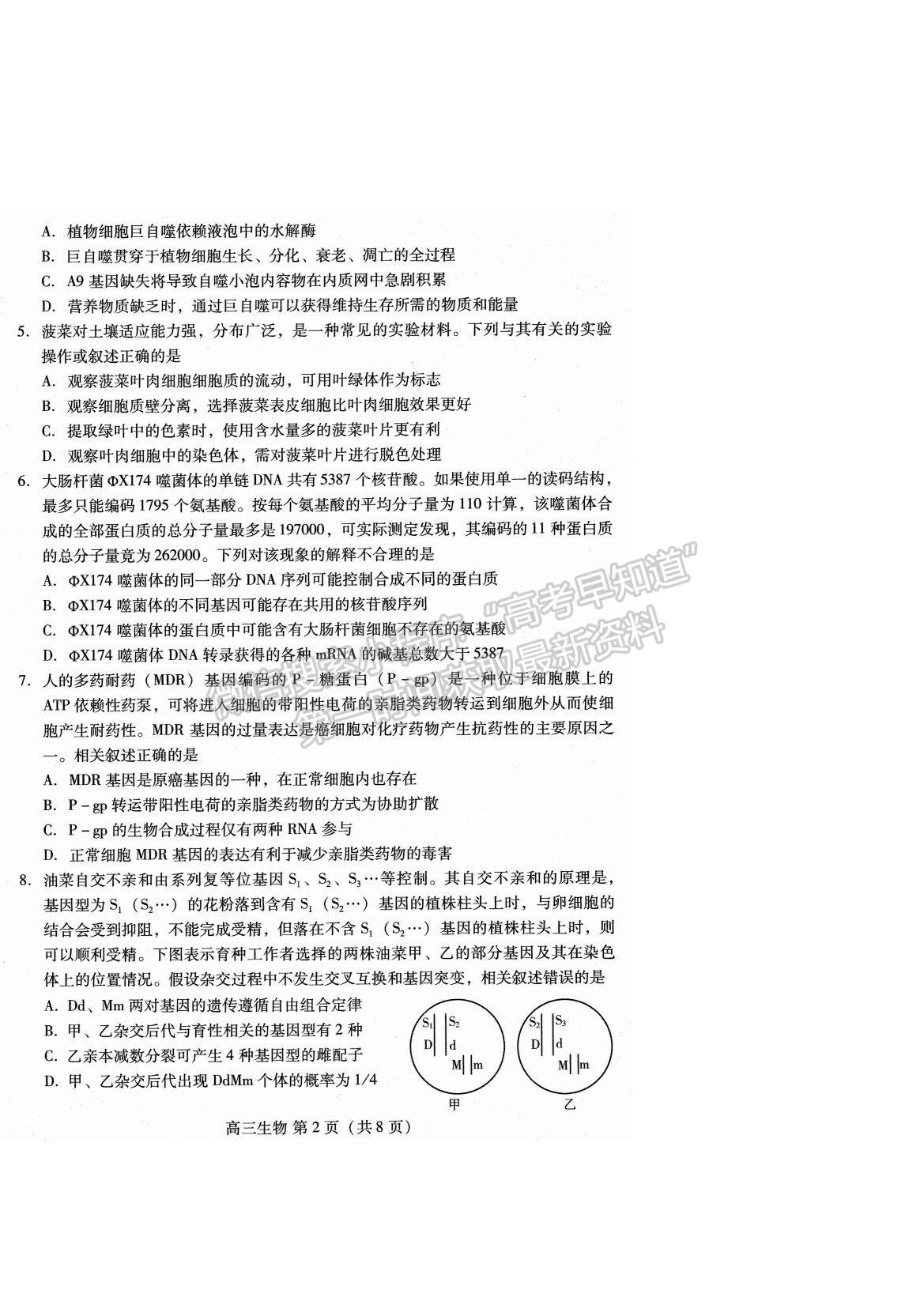 2022山東濰坊高三12月優(yōu)秀生抽測(cè)生物試題及參考答案