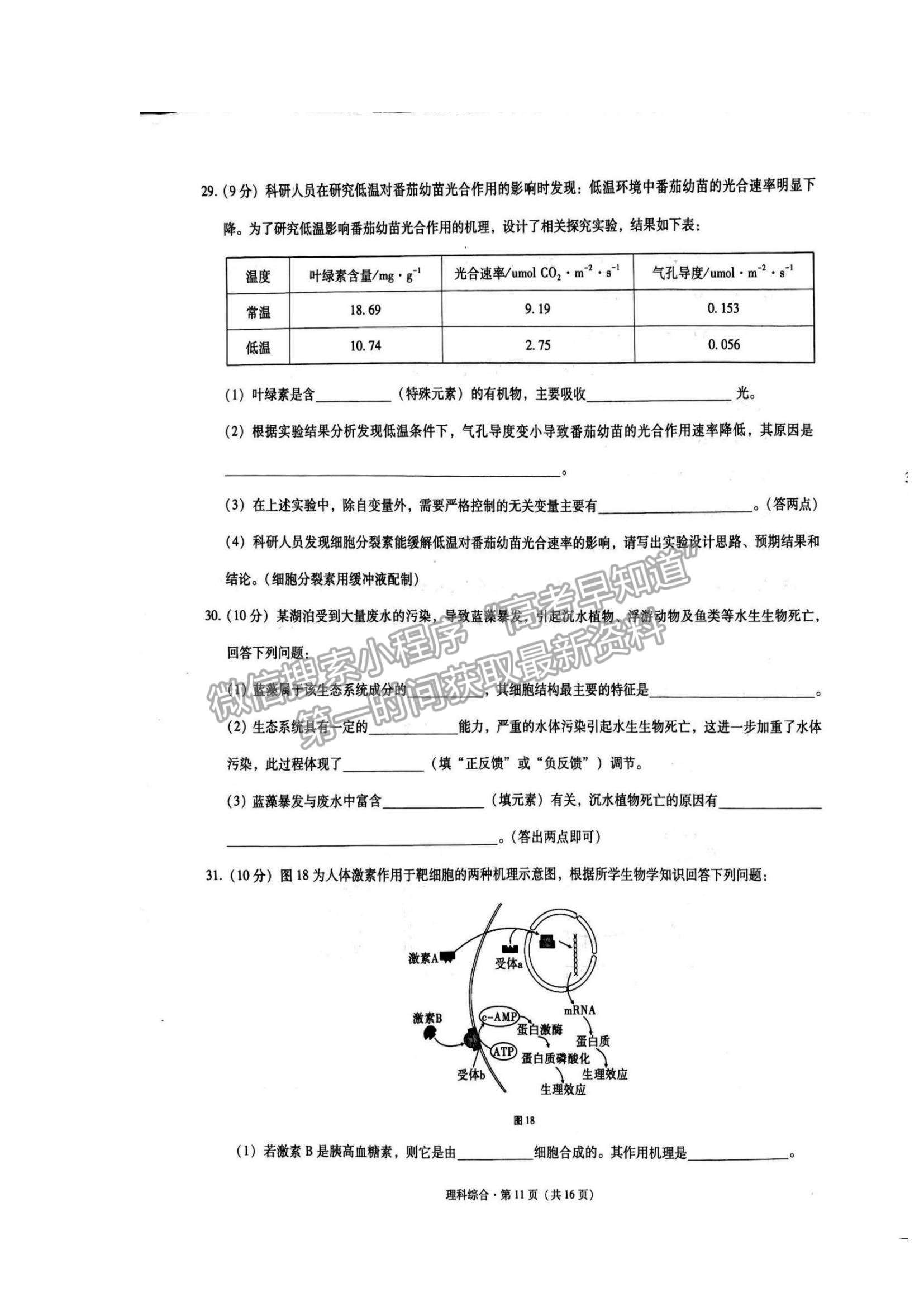 2022貴陽市五校高三11月聯(lián)考（三）理綜試題及參考答案