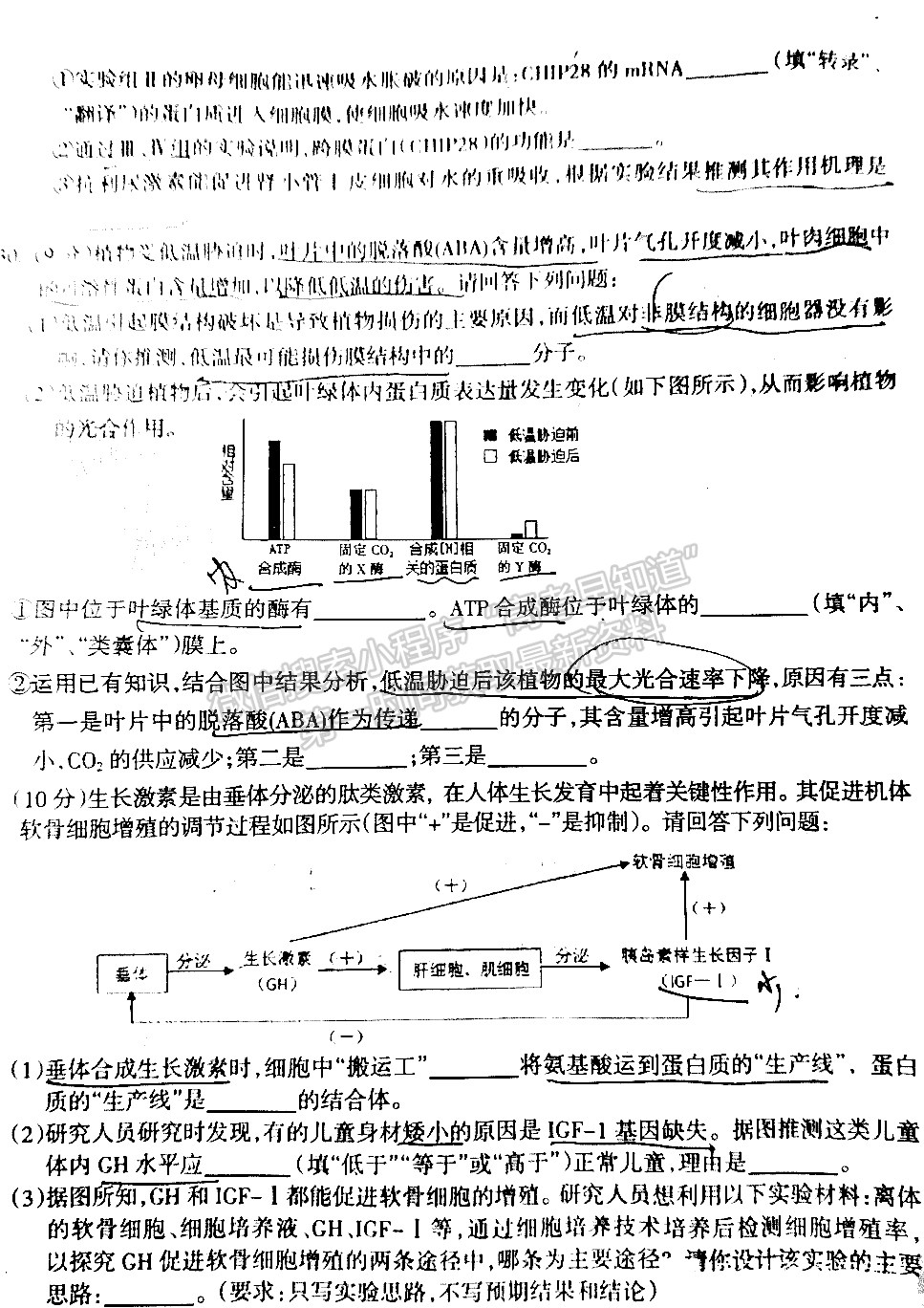 2022四川省涼山州2022屆高中畢業(yè)班第一次診斷性檢測理科綜合試題及答案