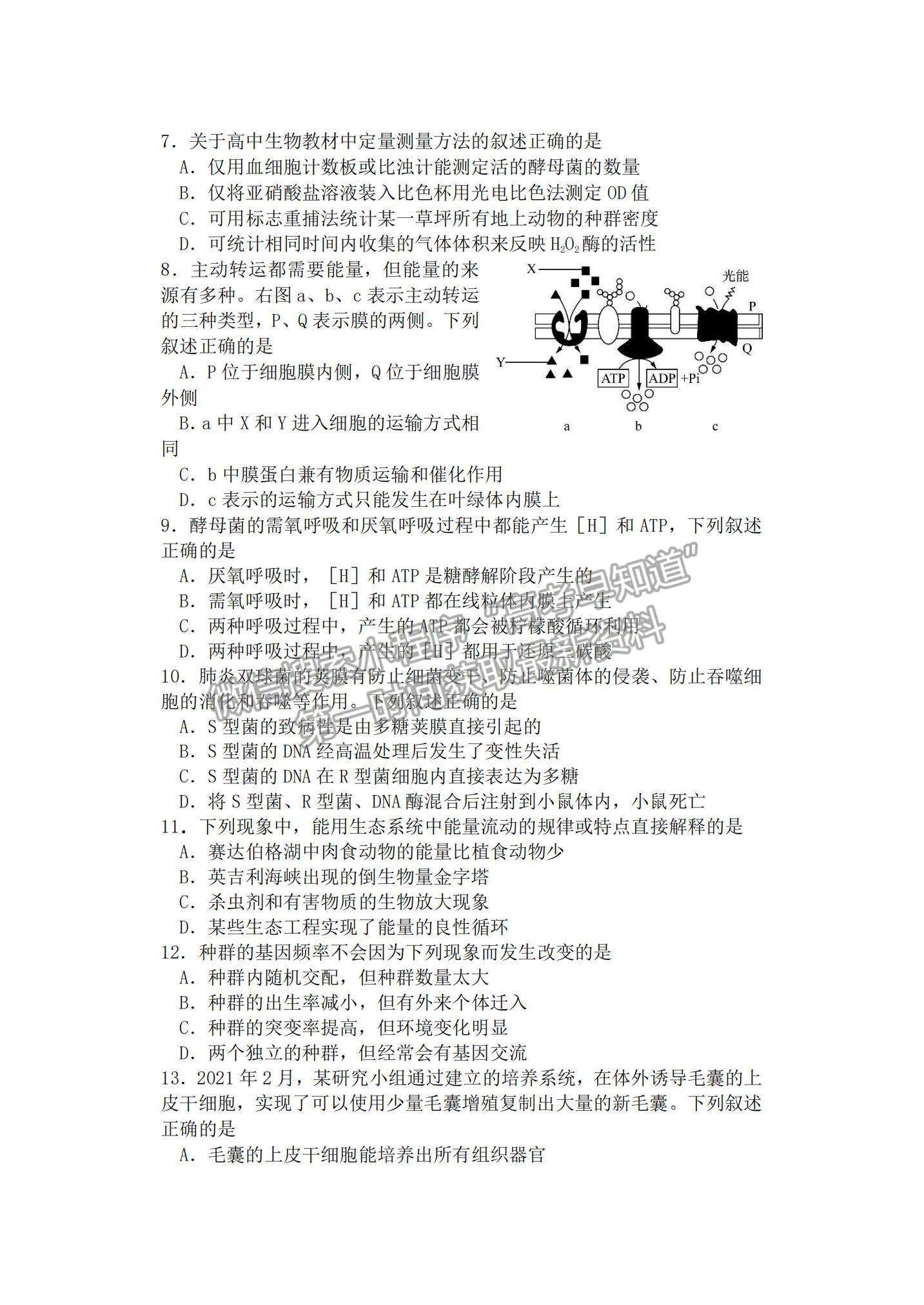 2022浙江“山水聯(lián)盟”高三12月聯(lián)考生物試題及參考答案