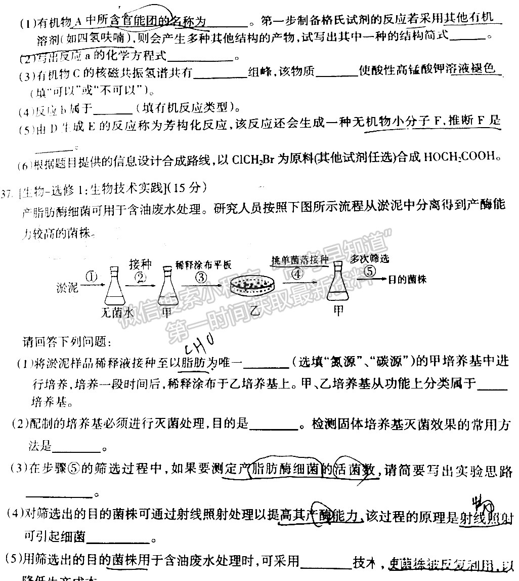 2022四川省涼山州2022屆高中畢業(yè)班第一次診斷性檢測理科綜合試題及答案