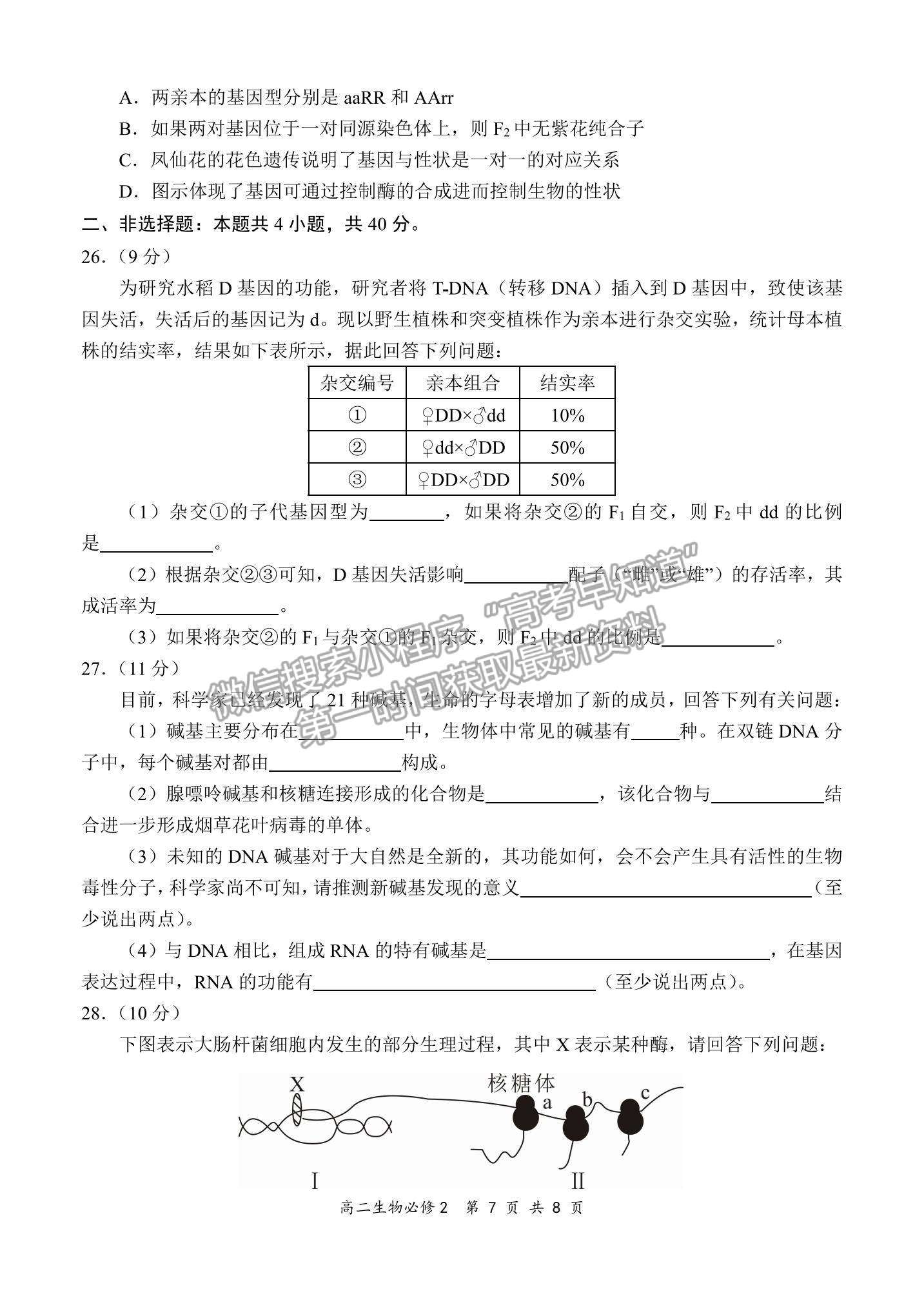 2022全國百強?！邦I軍考試”高二11月聯(lián)考生物（必修2）試題及參考答案