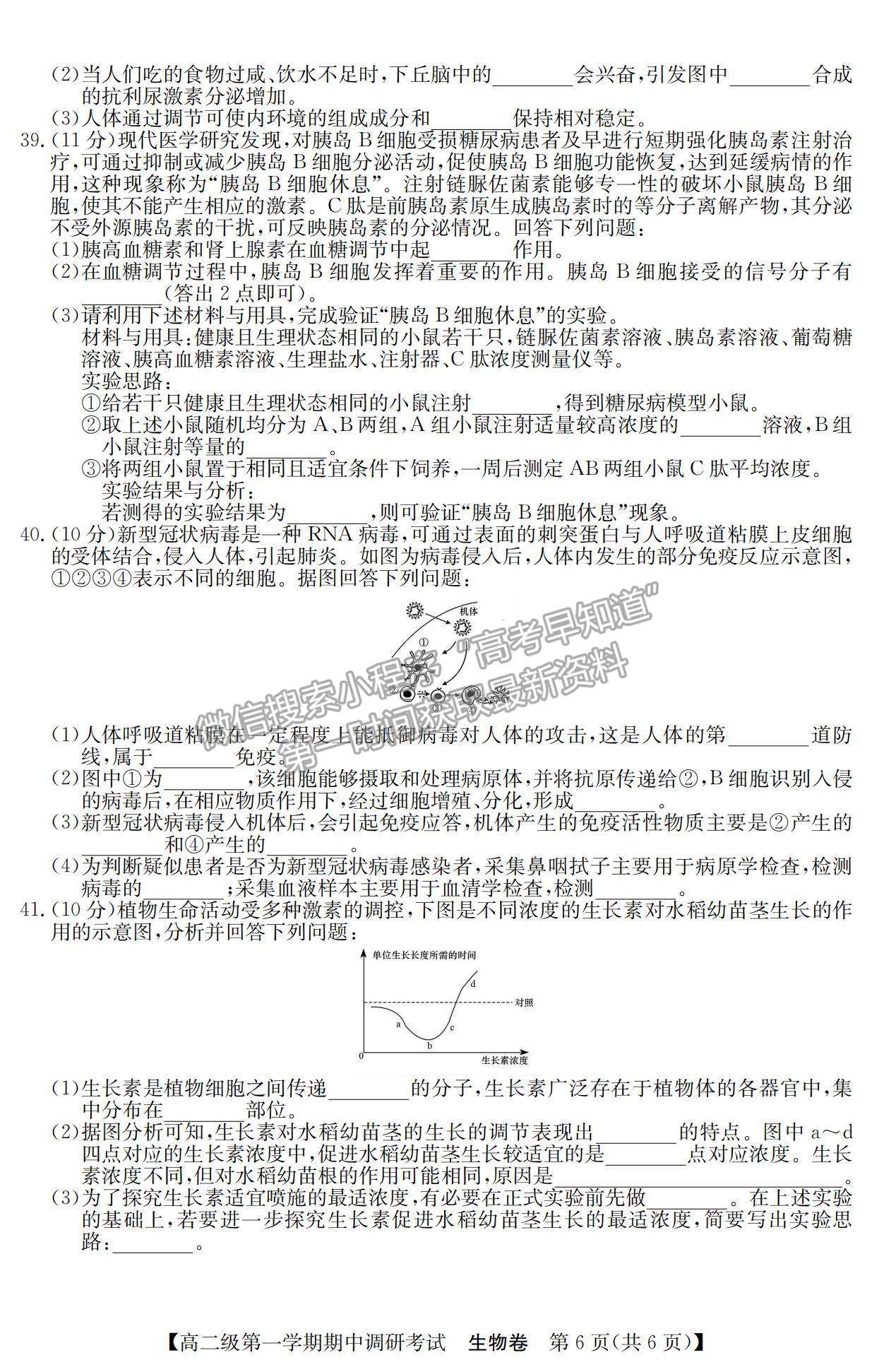 2022廣東省清遠(yuǎn)市高二11月聯(lián)考生物試題及參考答案