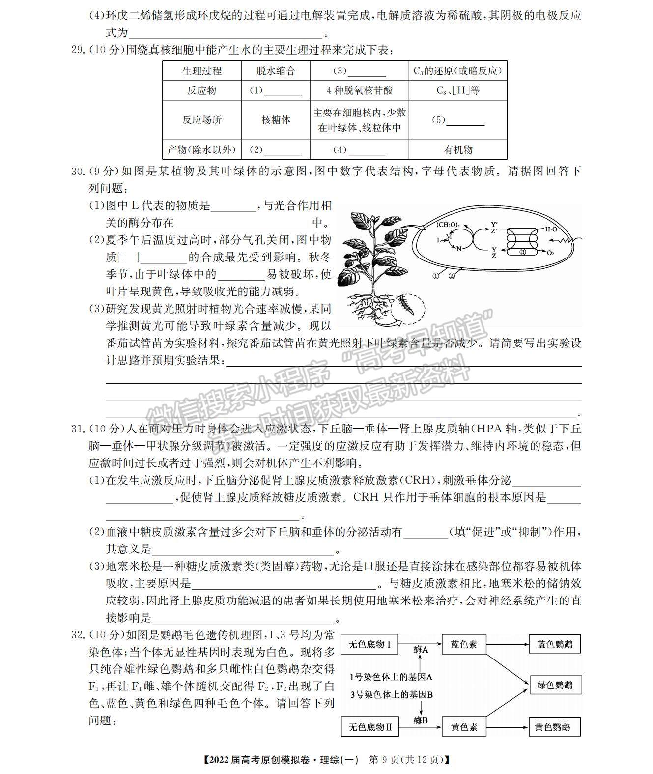 2022高考精準(zhǔn)備考原創(chuàng)模擬卷（一）理綜試題及參考答案