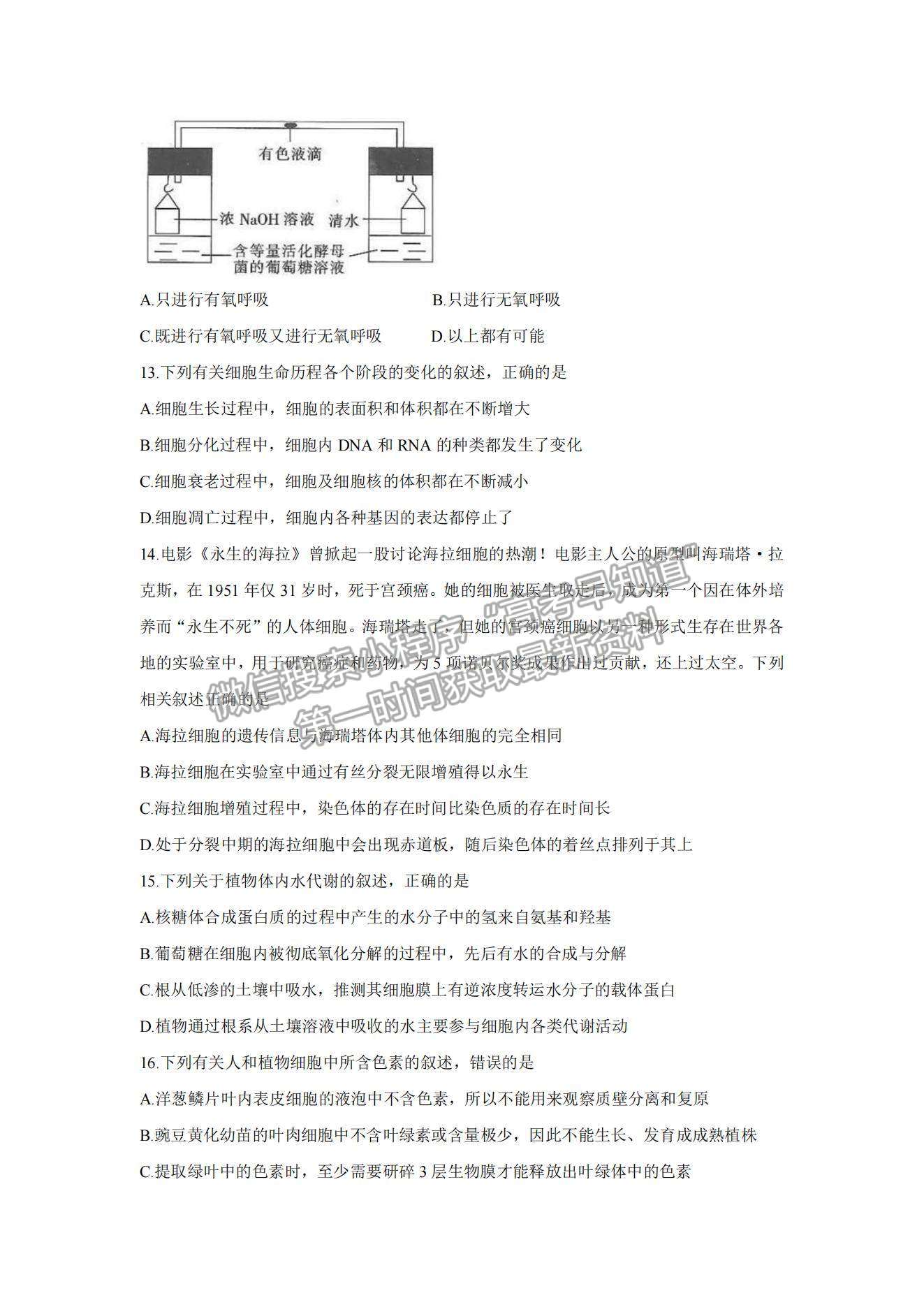 2022湖北省京山市、安陸市等百校聯(lián)考高三10月月考生物試題及參考答案