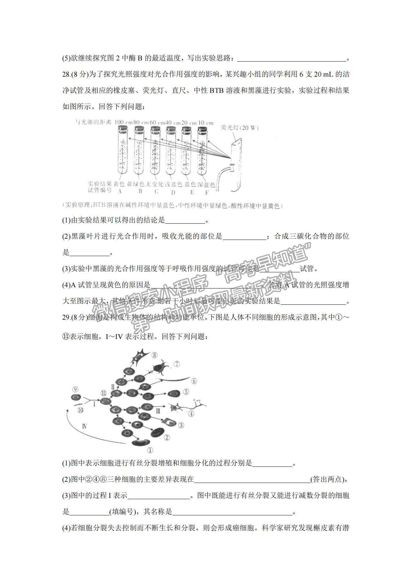 2022河南駐馬店高三11月階段性檢測生物試題及參考答案