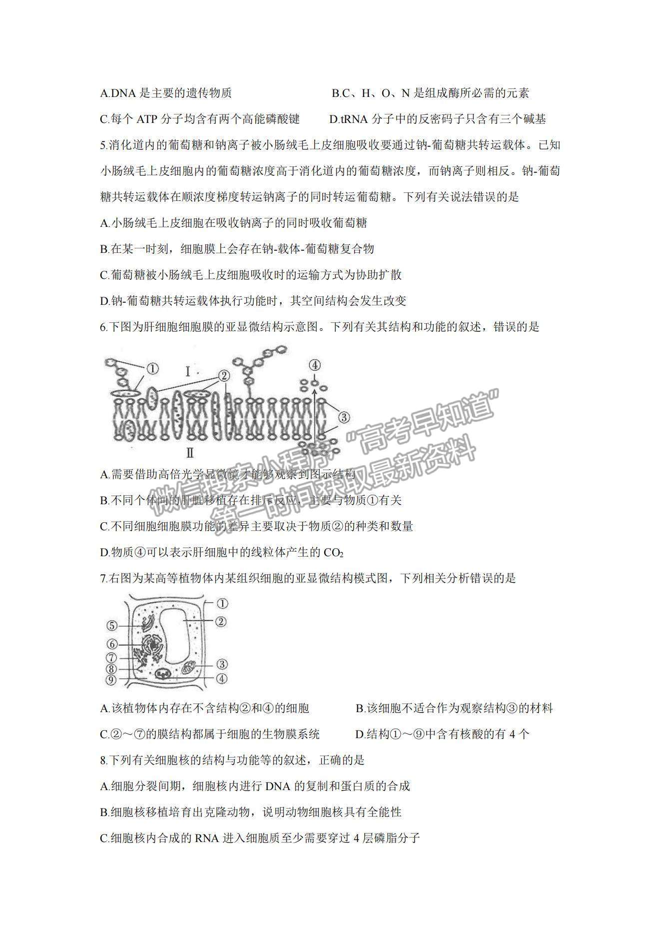 2022湖北省京山市、安陸市等百校聯(lián)考高三10月月考生物試題及參考答案