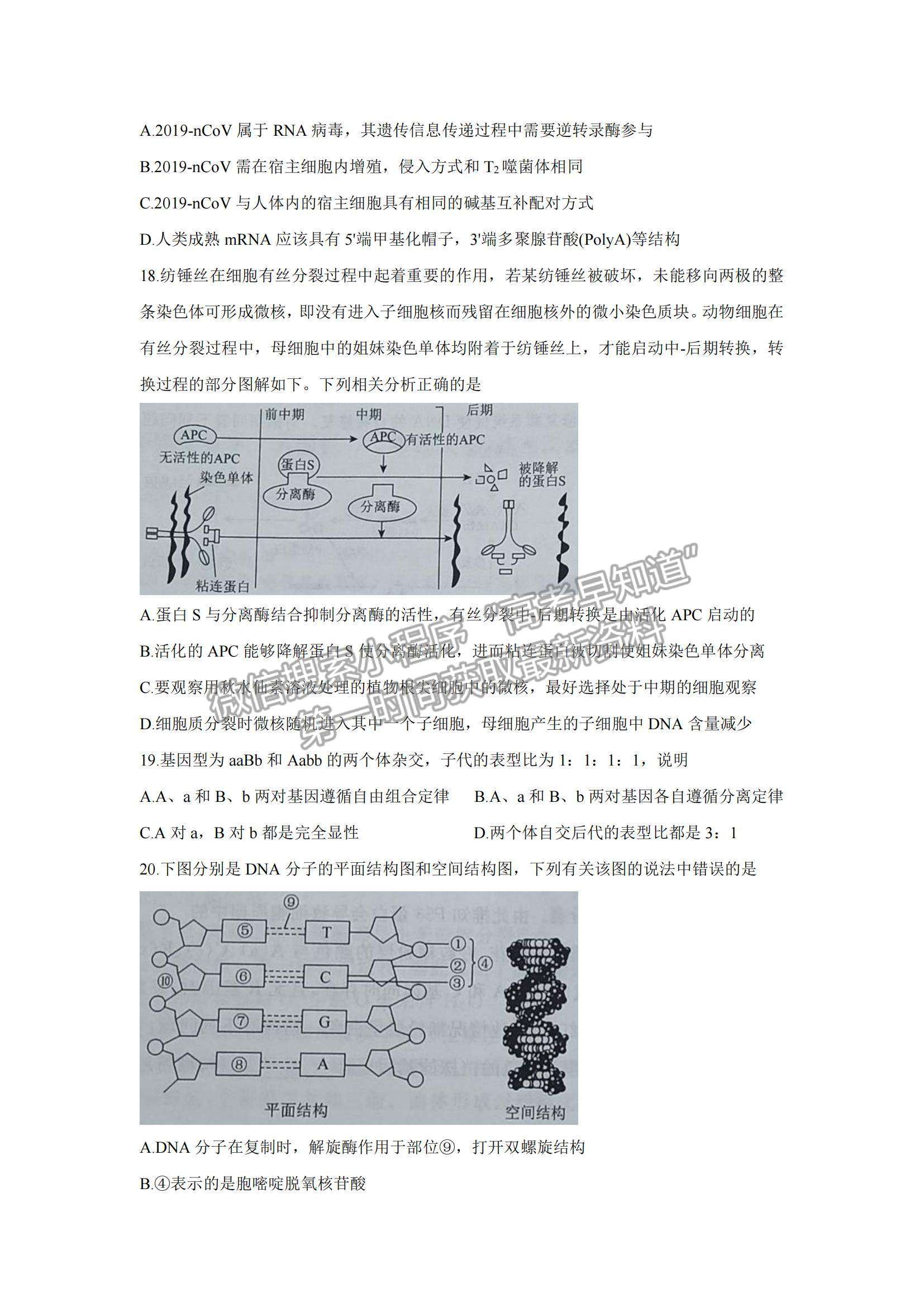 2022遼寧省聯(lián)盟高三10月聯(lián)合考試生物試題及參考答案