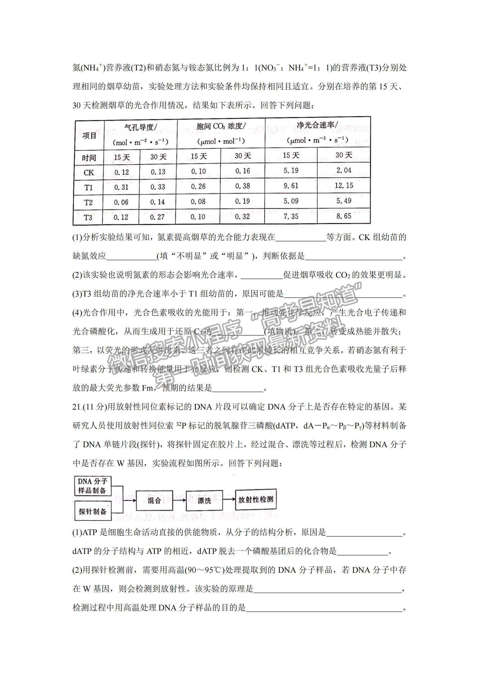 2022河北省邢臺(tái)市“五岳聯(lián)盟”高三10月聯(lián)考生物試題及參考答案