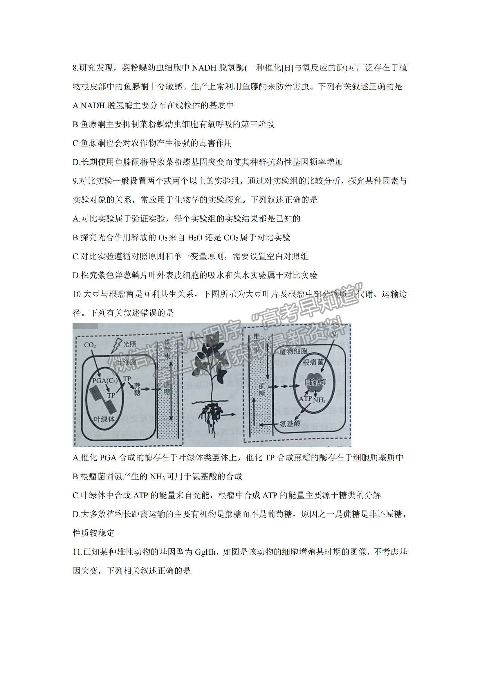 2022遼寧省聯(lián)盟高三10月聯(lián)合考試生物試題及參考答案