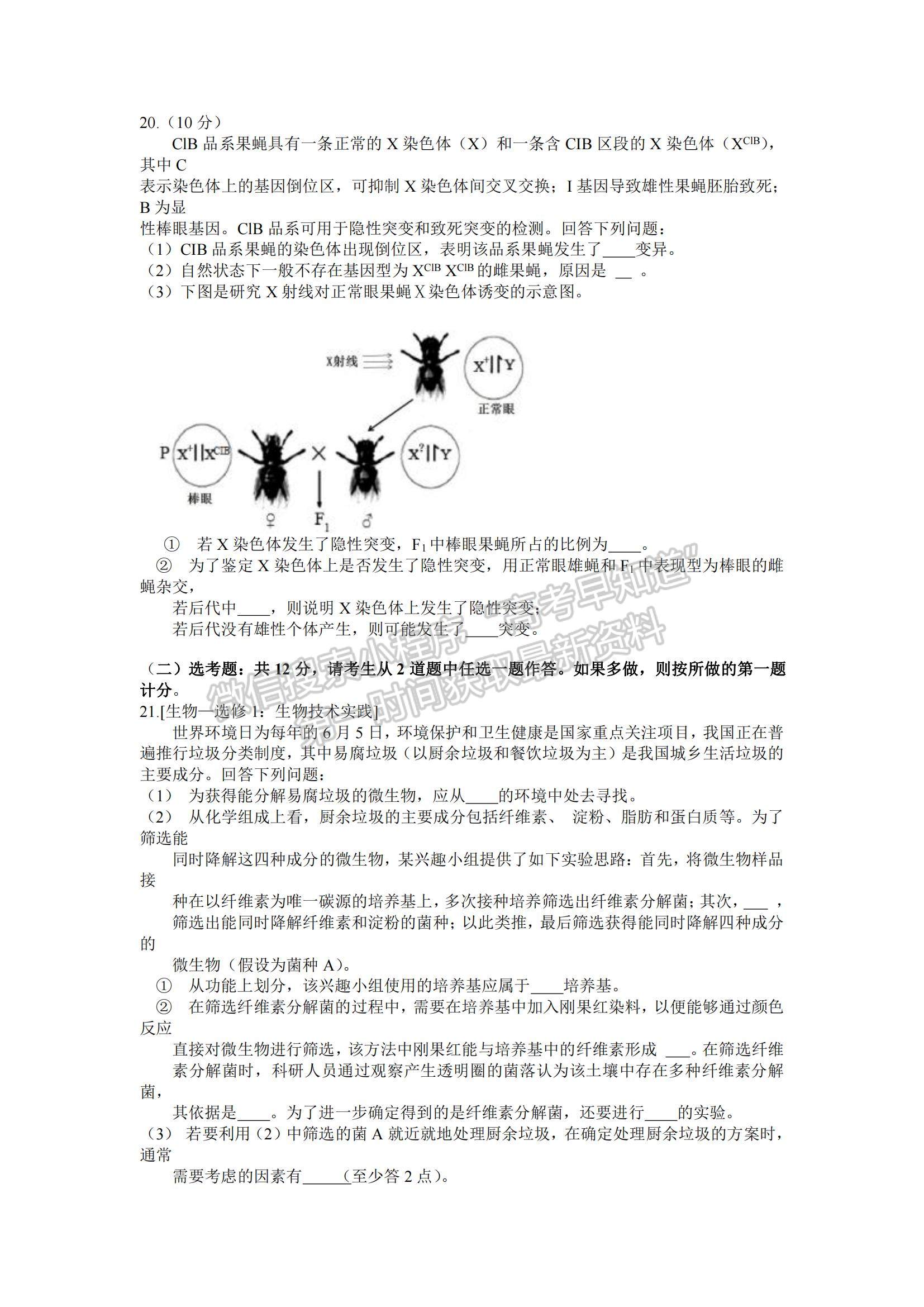 2022廣東九校高三11月聯(lián)考生物試題及參考答案