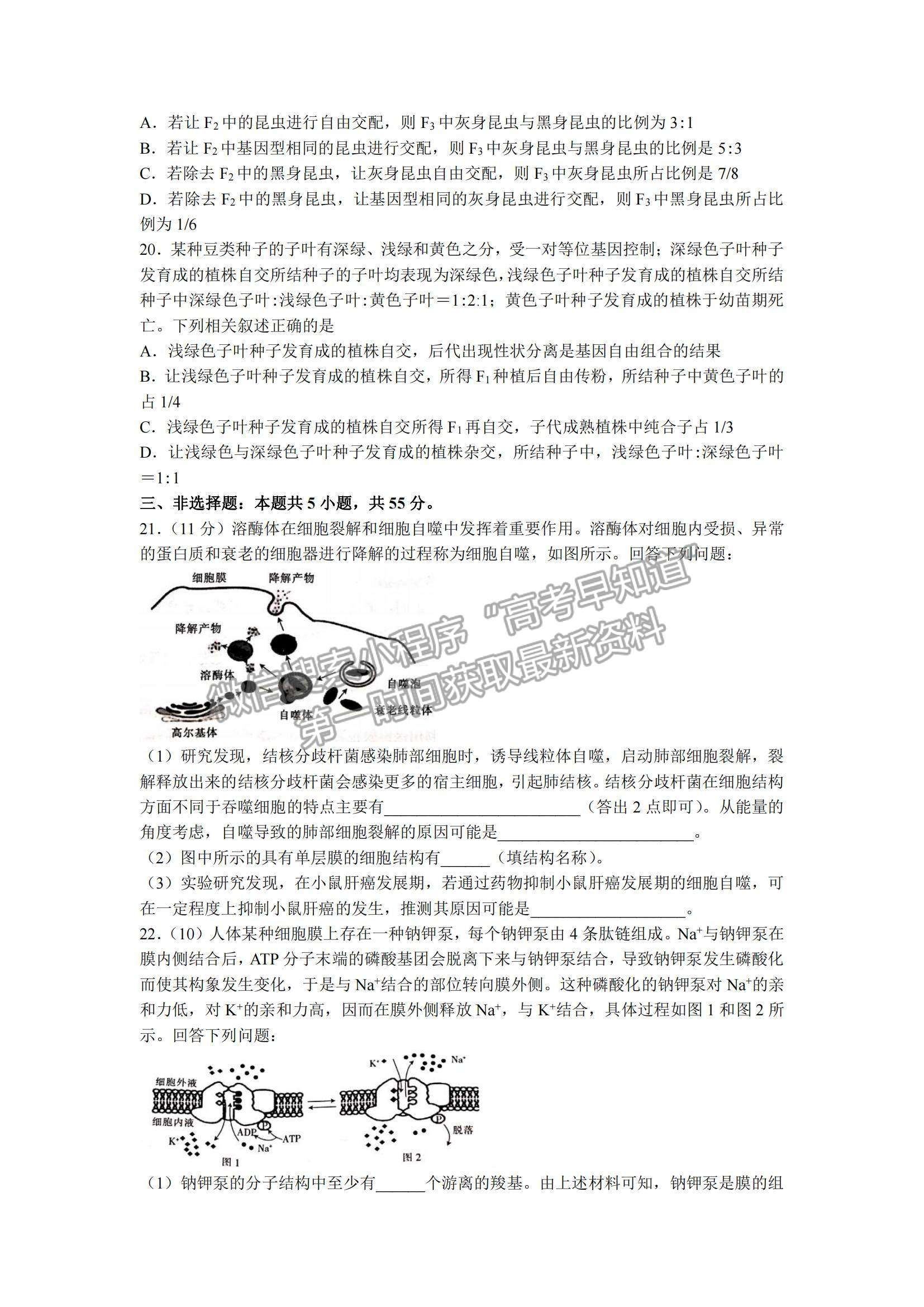 2022遼寧省葫蘆島市協(xié)作校高三10月第一次考試生物試題及參考答案