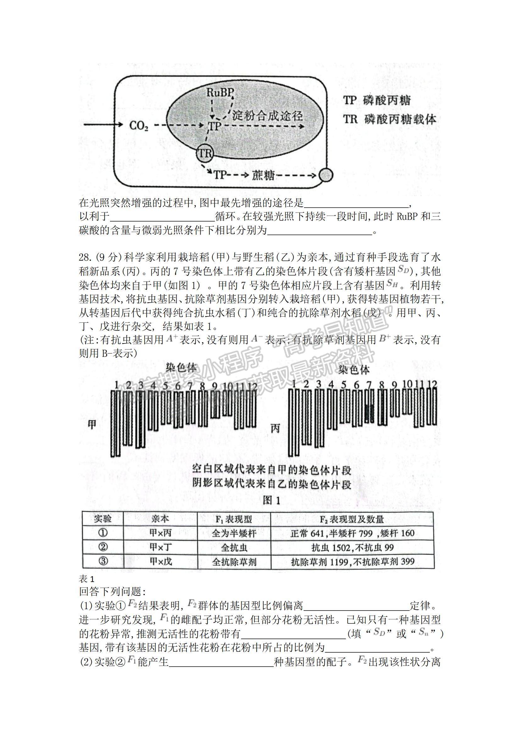 2022浙江金華十校高三11月模擬考試生物試題及參考答案