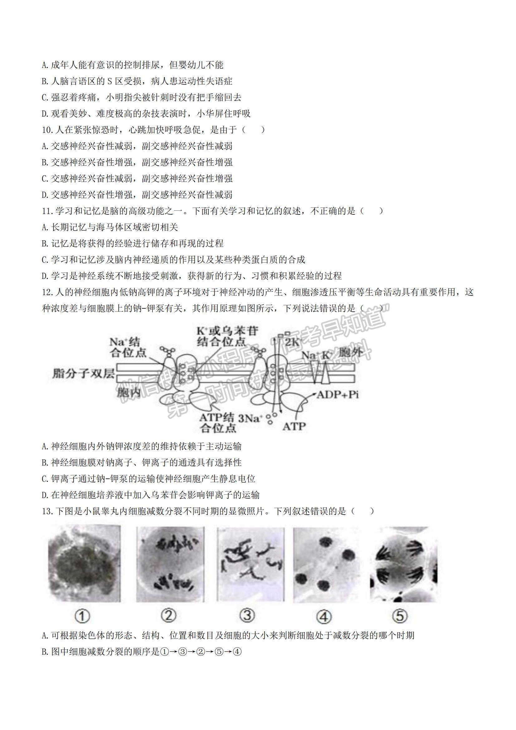 2022湖北省鄂東南省級示范高中教育教學(xué)改革聯(lián)盟學(xué)校高二上學(xué)期期中聯(lián)考生物試題及參考答案