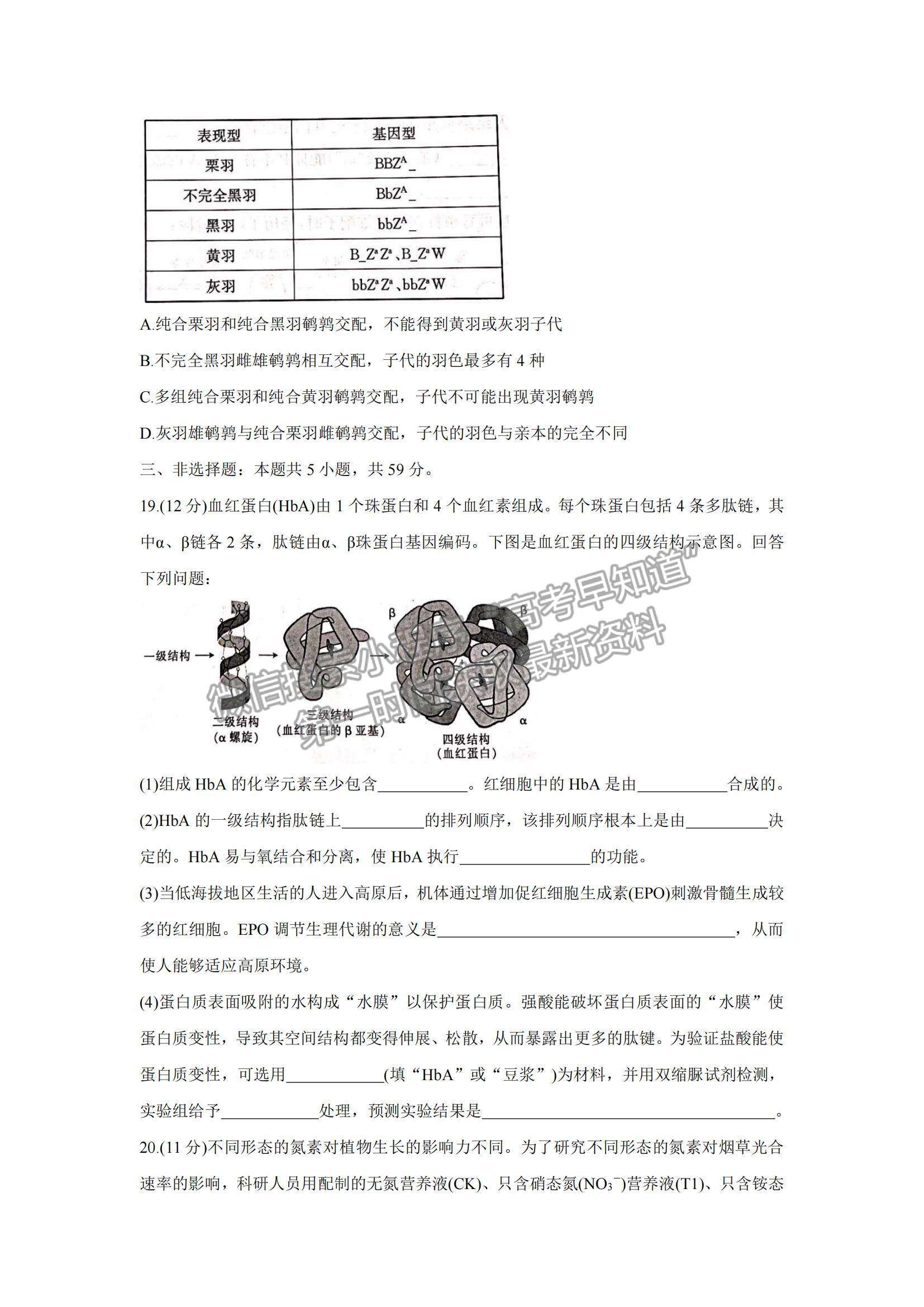 2022河北省邢臺(tái)市“五岳聯(lián)盟”高三10月聯(lián)考生物試題及參考答案