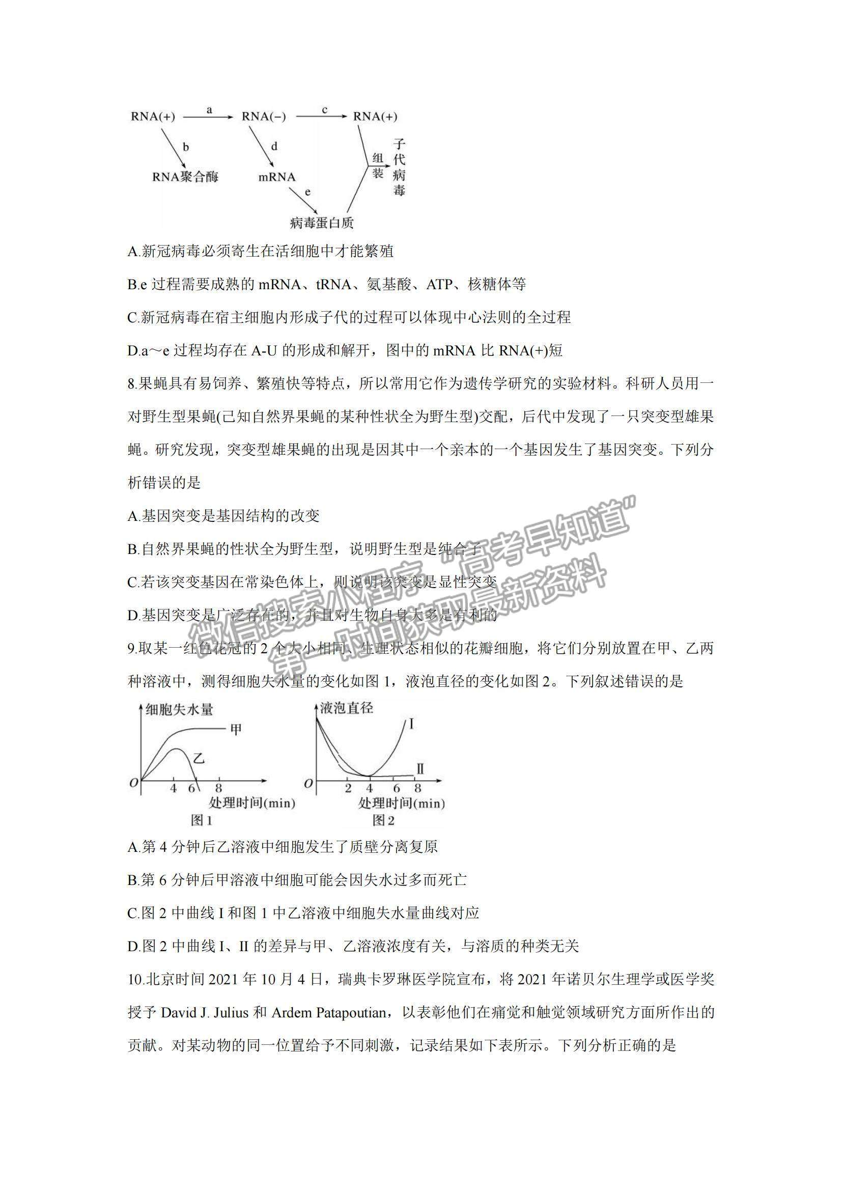 2022湖南省湖湘教育三新探索協(xié)作體高三期中聯(lián)考生物試題及參考答案