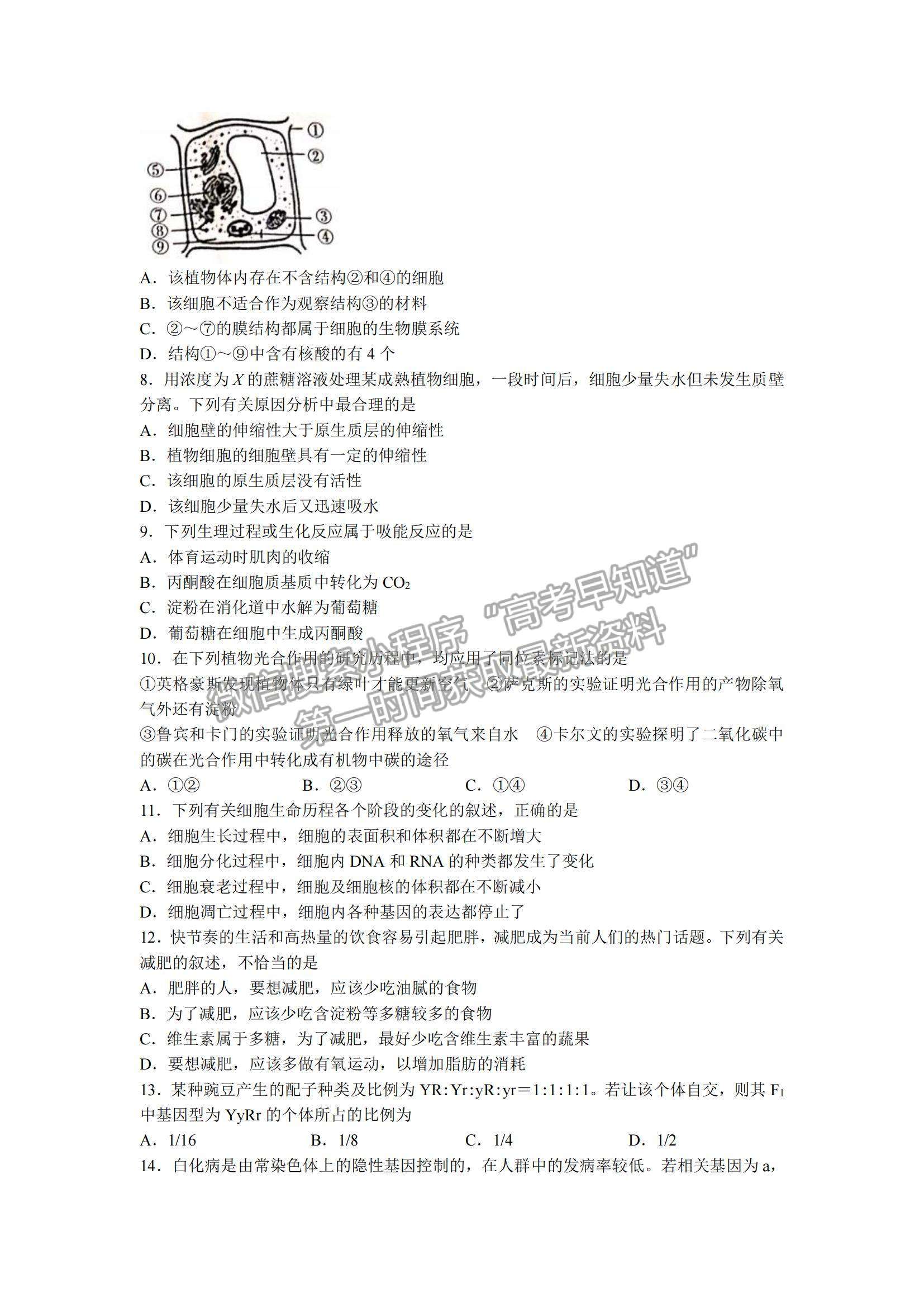 2022遼寧省葫蘆島市協(xié)作校高三10月第一次考試生物試題及參考答案